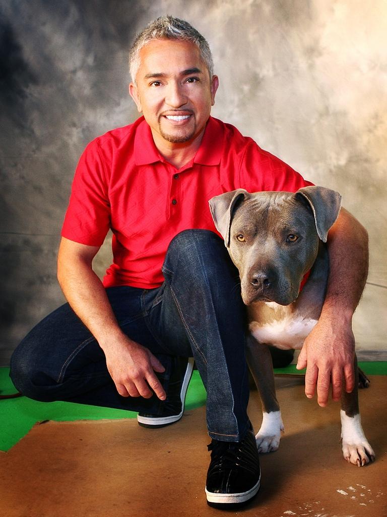 Cesar Millan Wallpapers