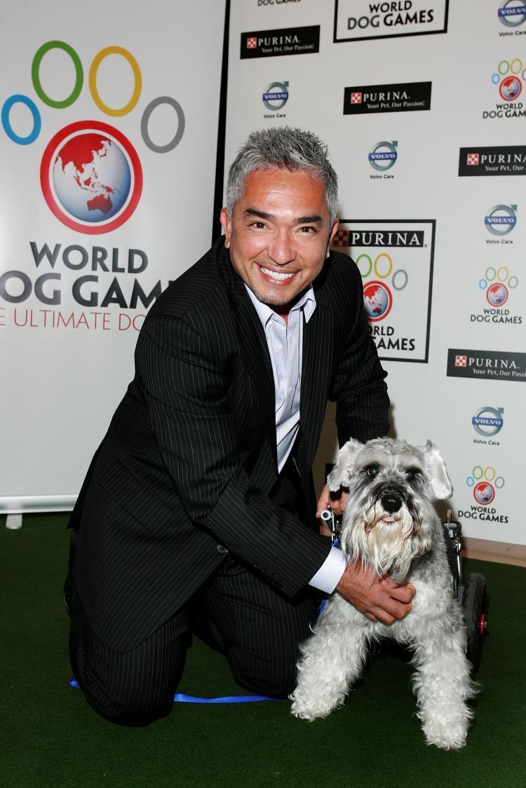 Cesar Millan Wallpapers