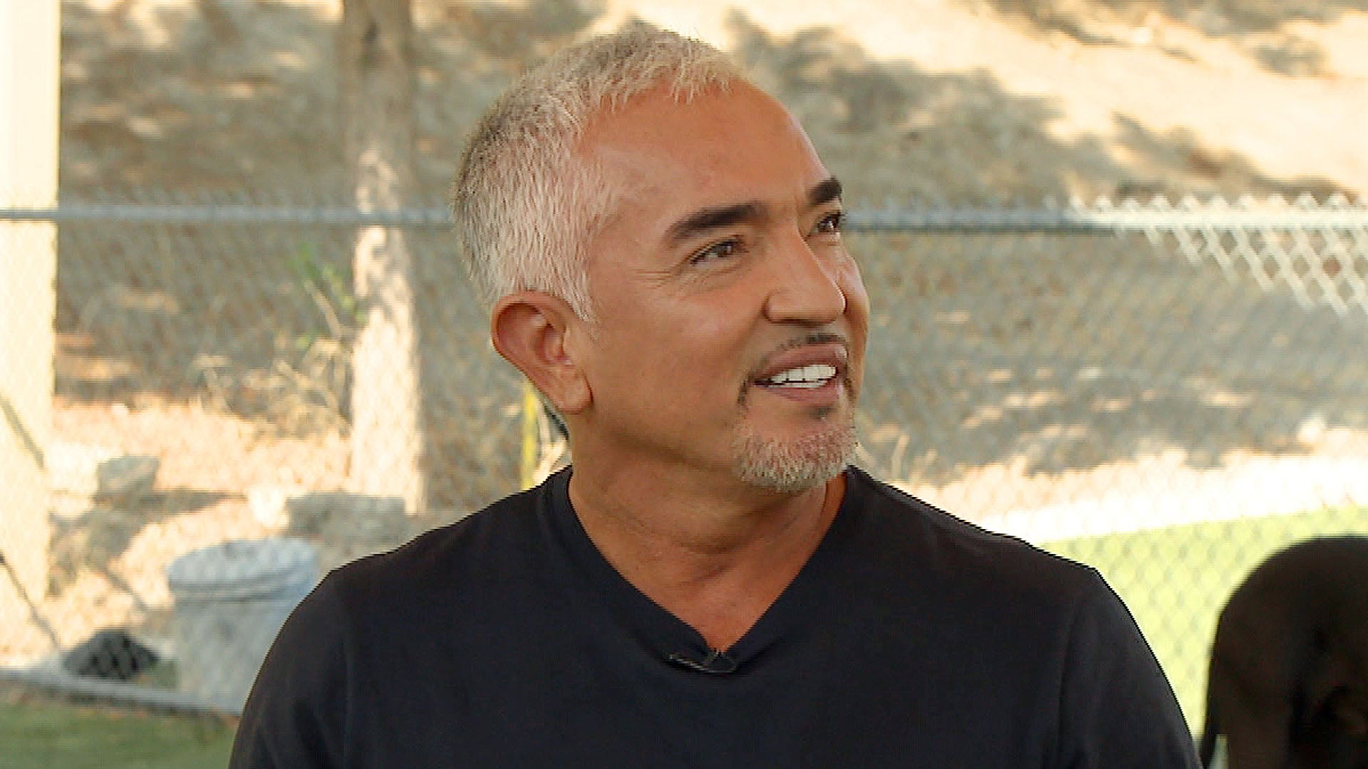 Cesar Millan Wallpapers