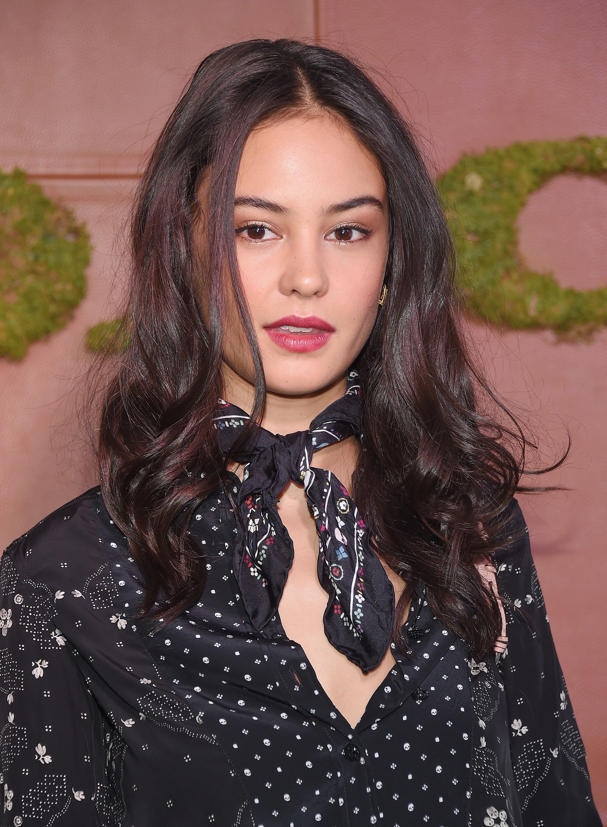 Courtney Eaton Wallpapers