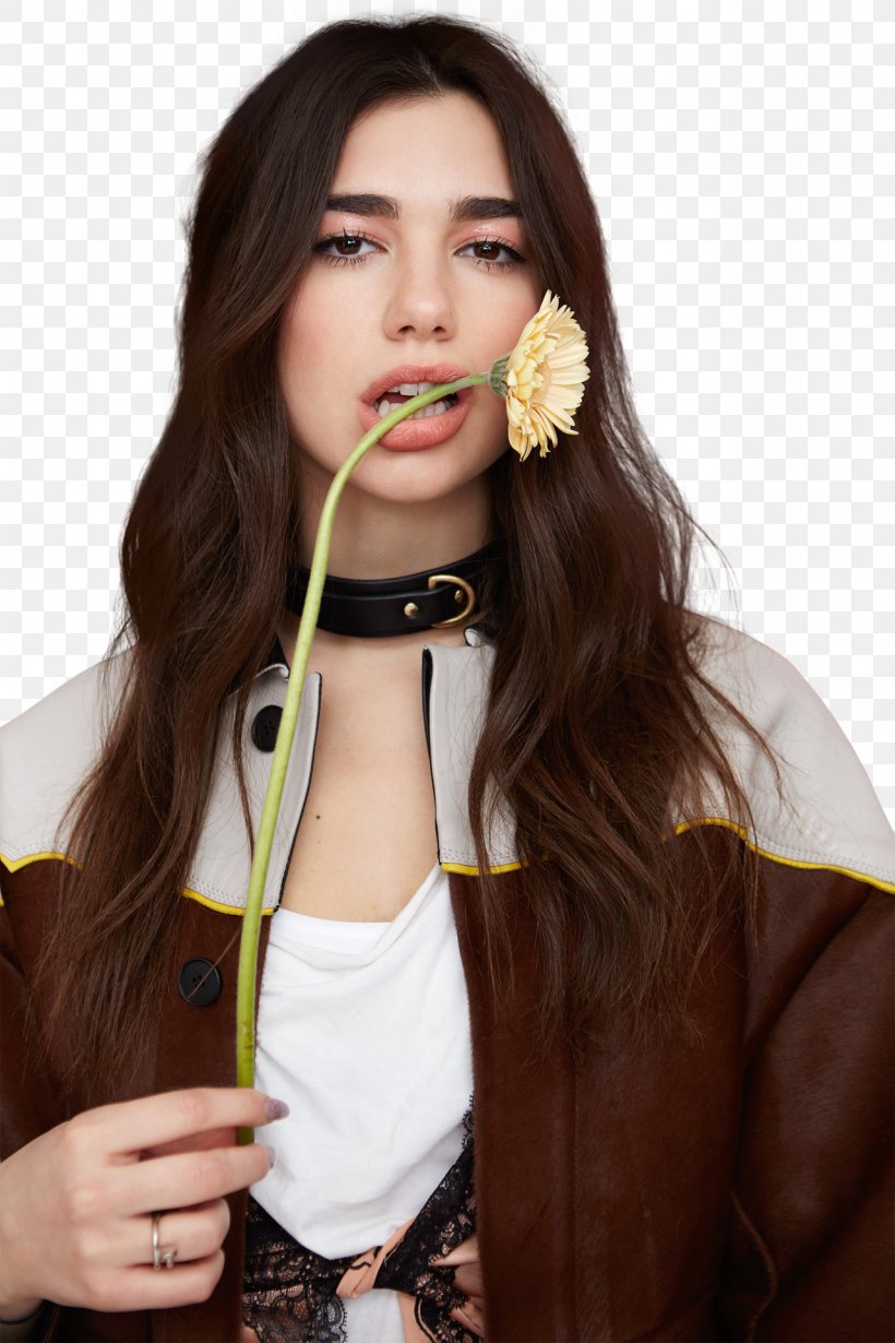 Dua Lipa Singer Wallpapers