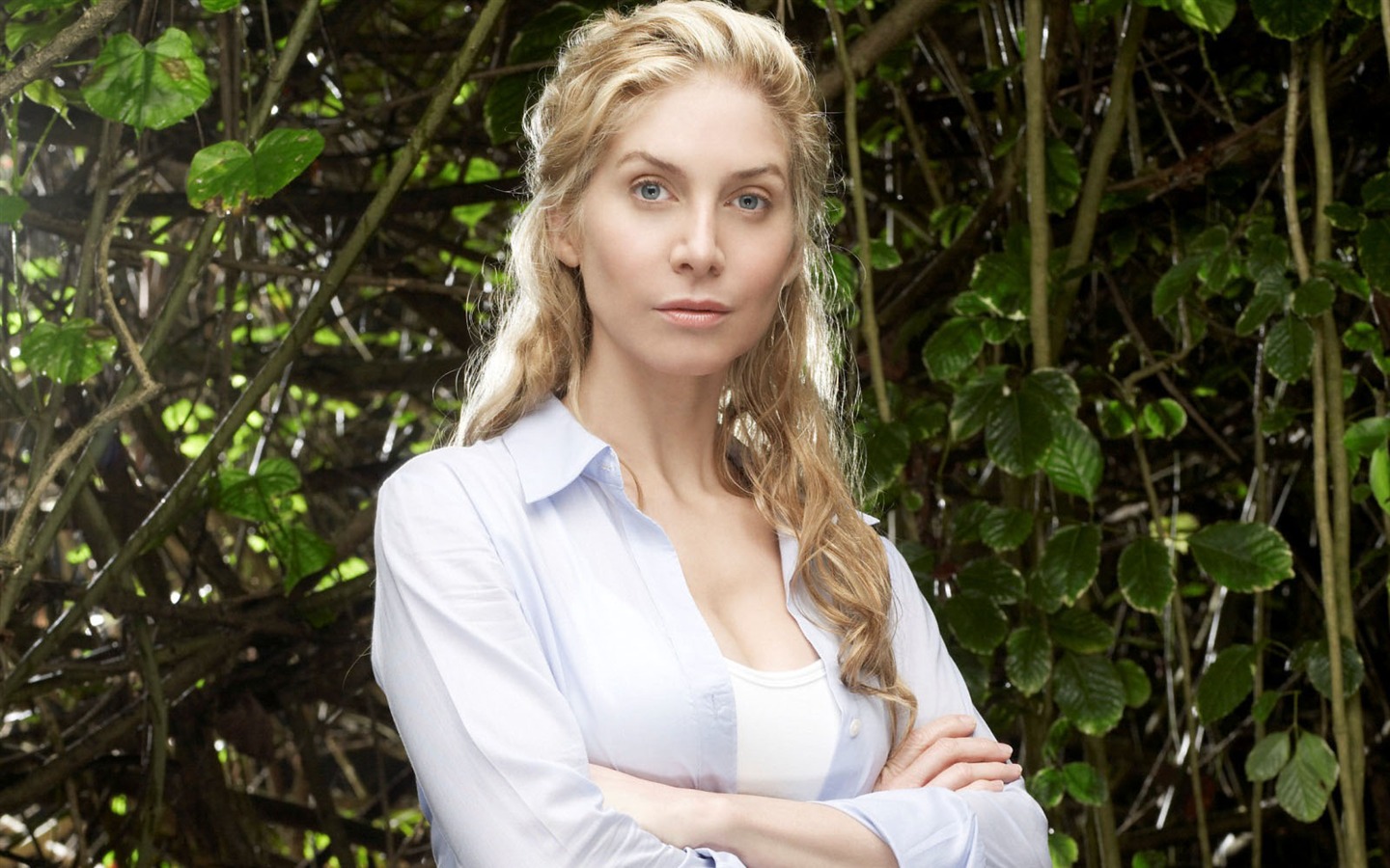 Elizabeth Mitchell Wallpapers