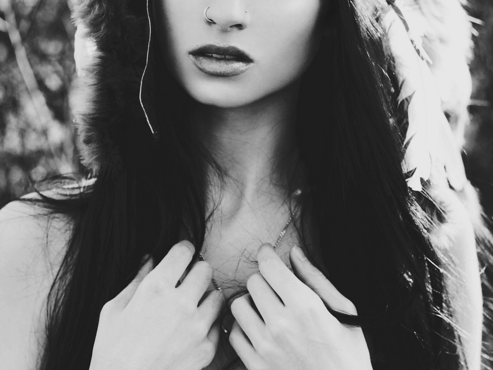 Felice Fawn Wallpapers