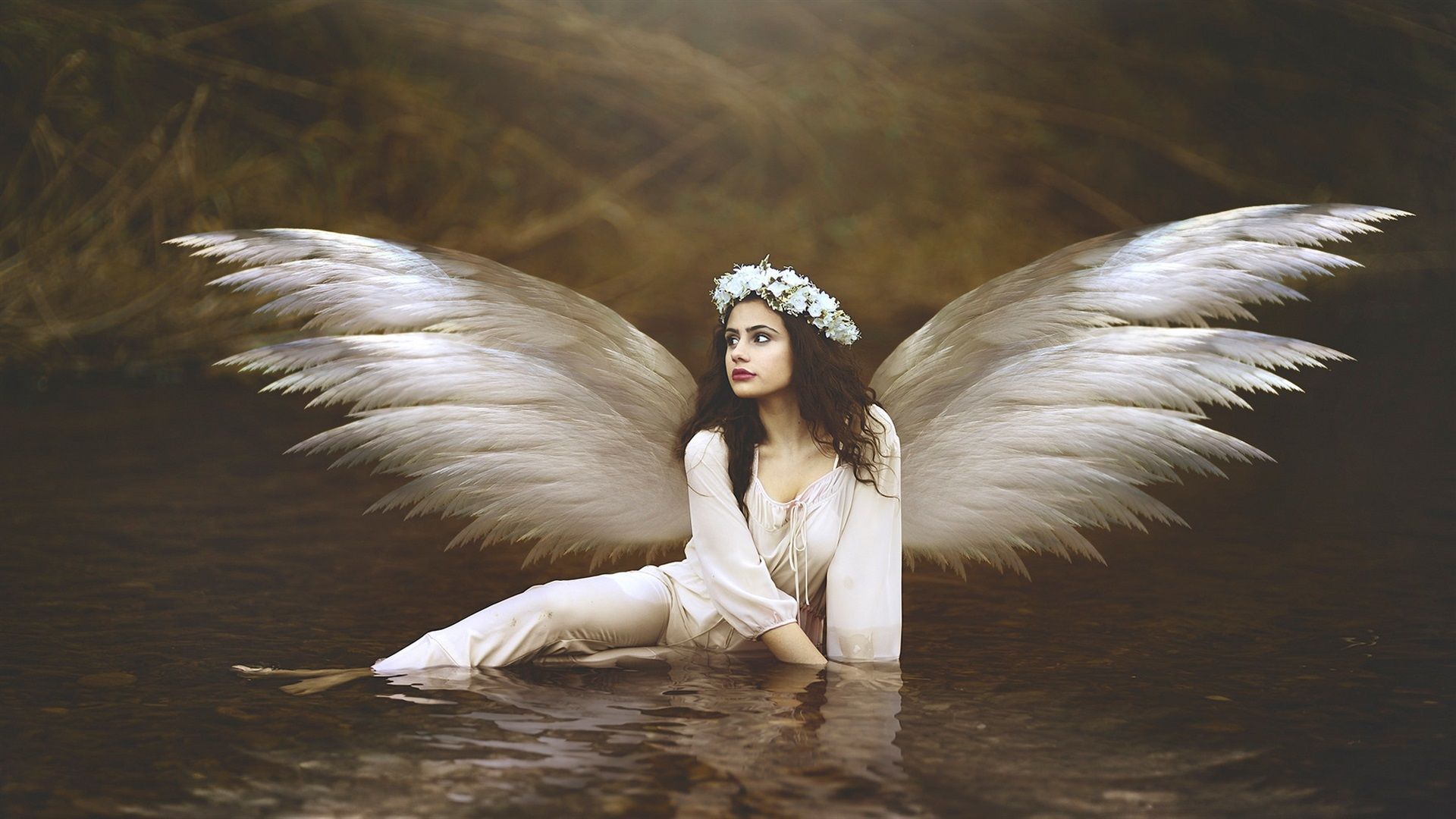 Girl With Wings Angel Wallpapers