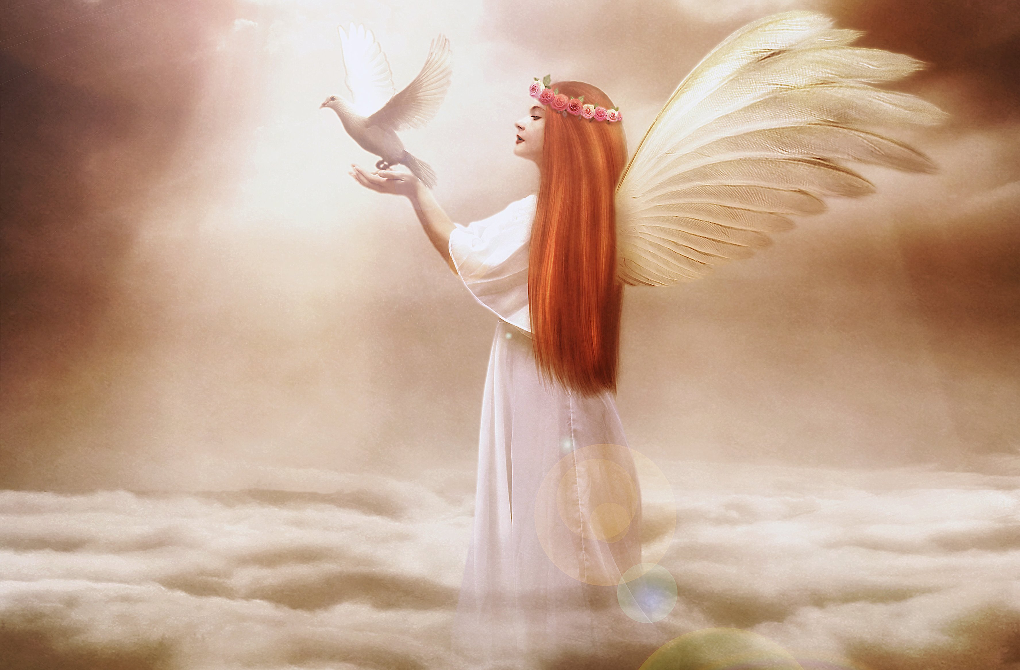 Girl With Wings Angel Wallpapers