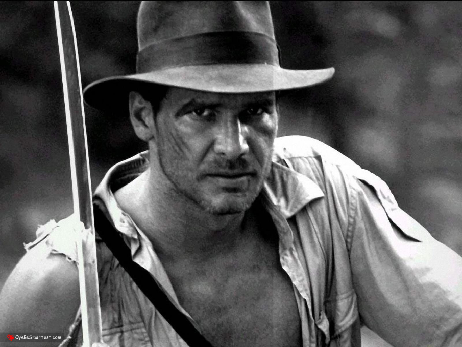 Harrison Ford Wallpapers