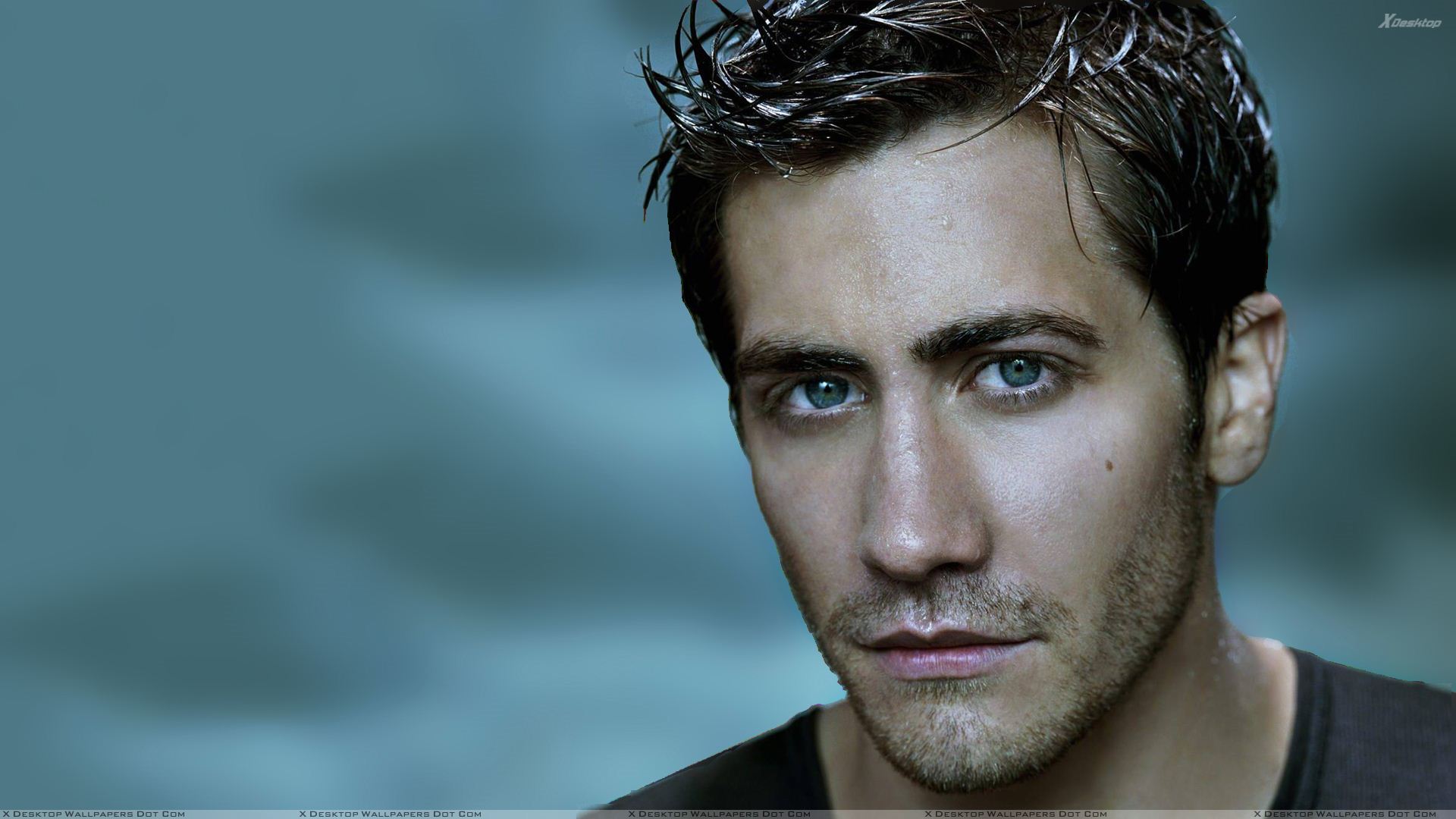 Jake Gyllenhaal Wallpapers