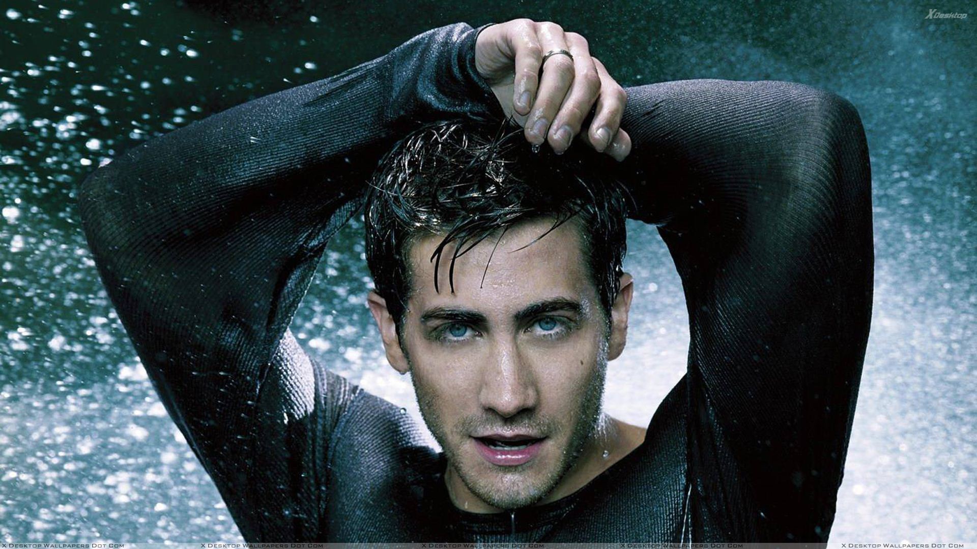 Jake Gyllenhaal Wallpapers