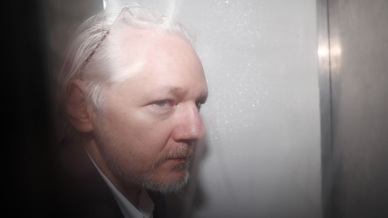 Jolia Assange Wallpapers