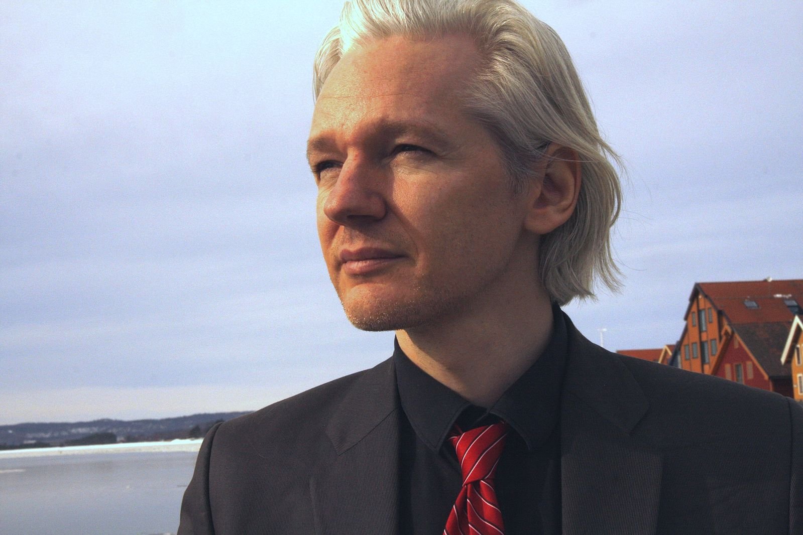 Jolia Assange Wallpapers