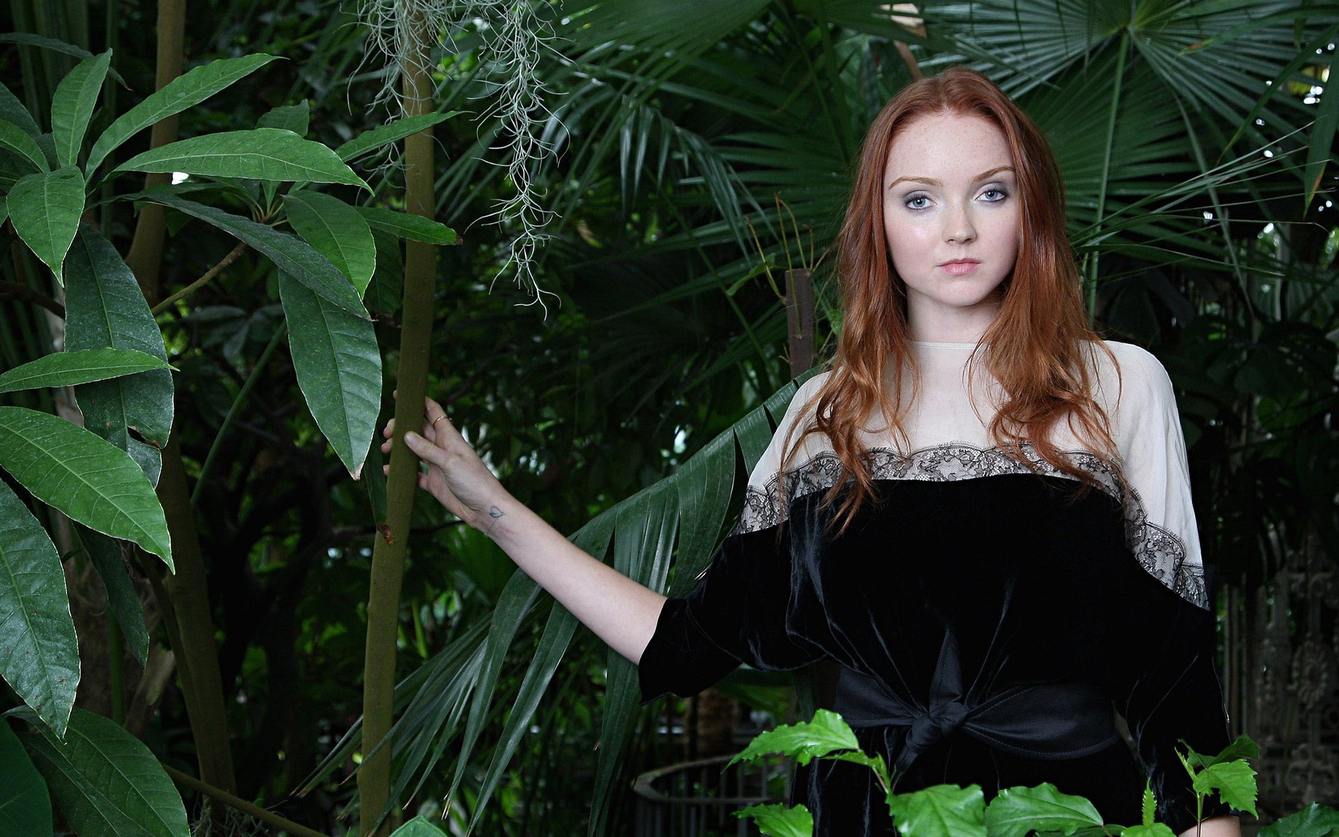 Lily Cole Wallpapers