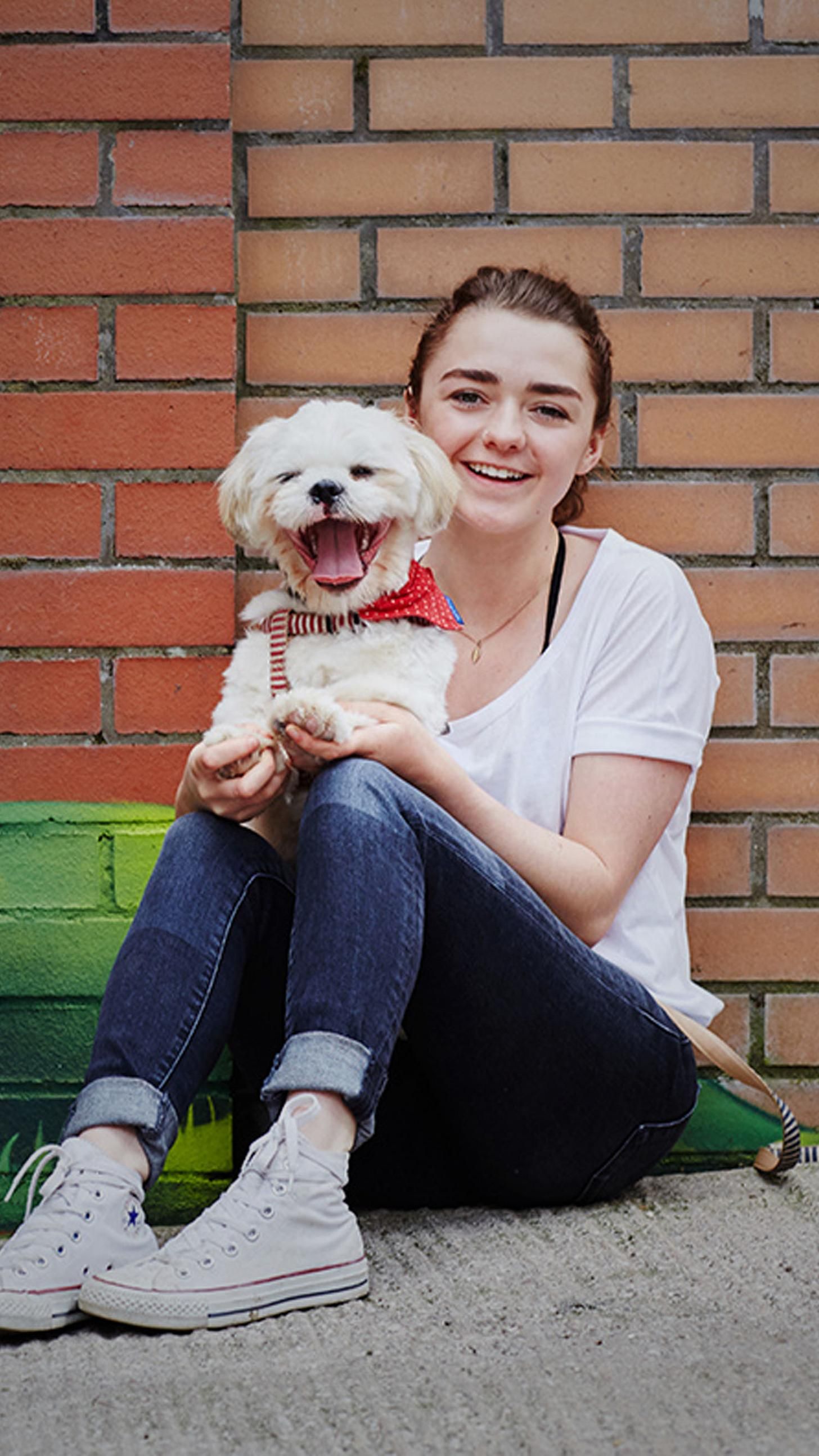 Maisie Williams with Owl Wallpapers