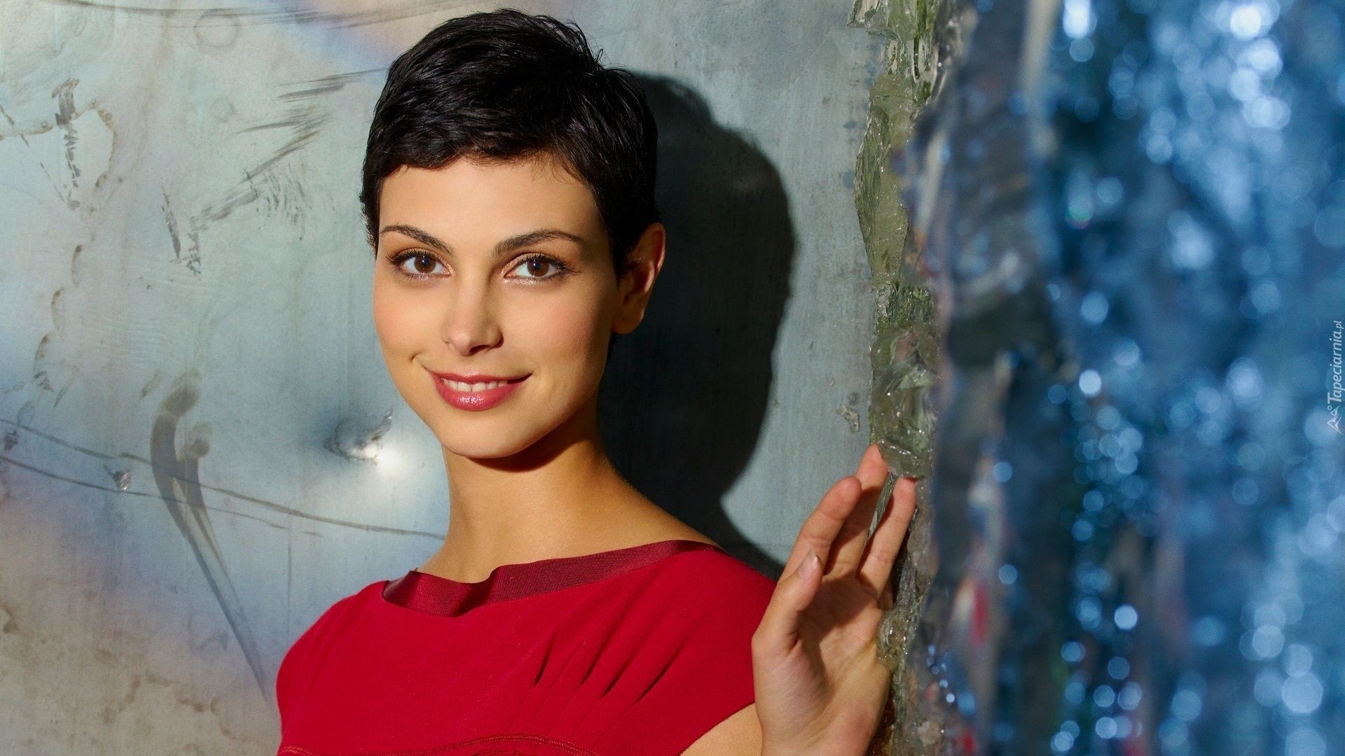 Morena Baccarin 2017 Wallpapers