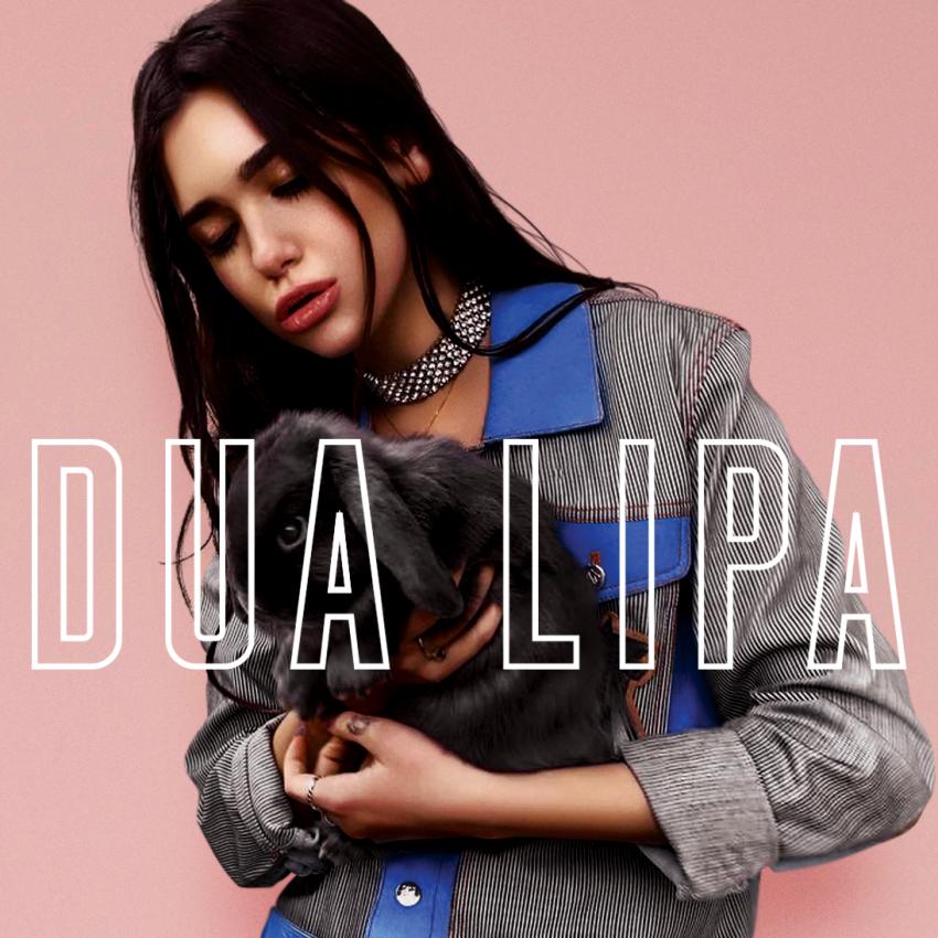 New Dua Lipa Wallpapers