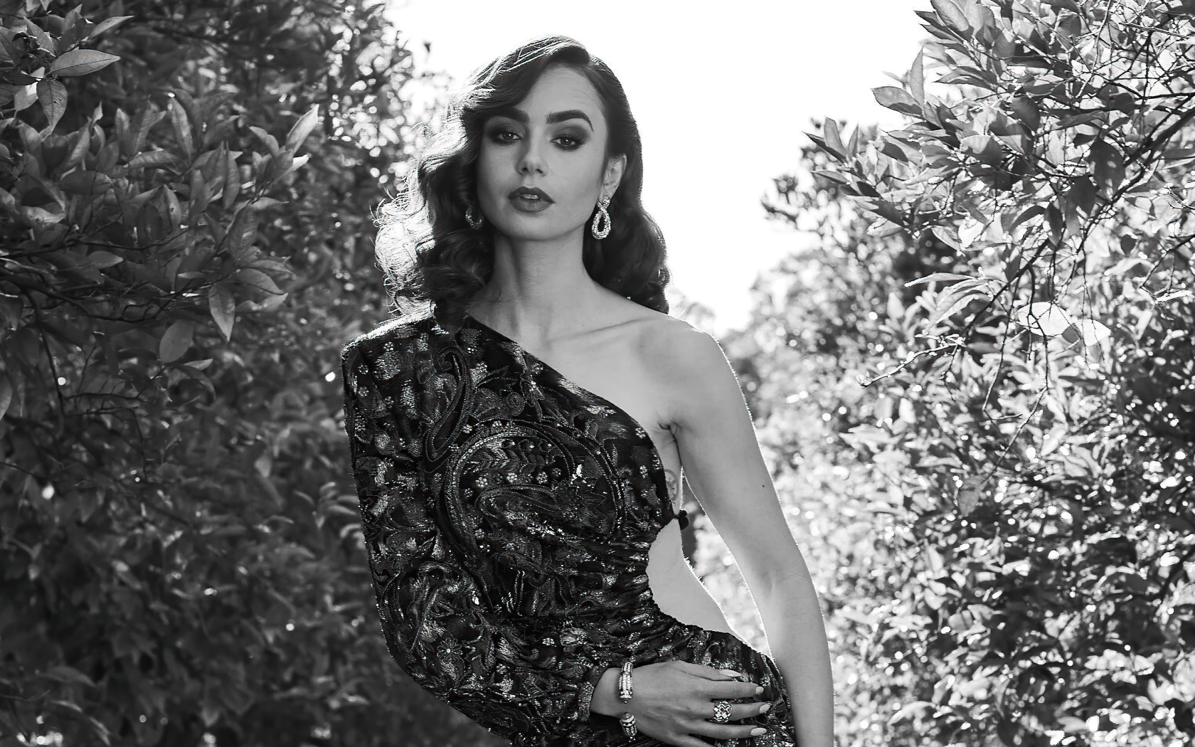 New Lily Collins Actress Wallpapers