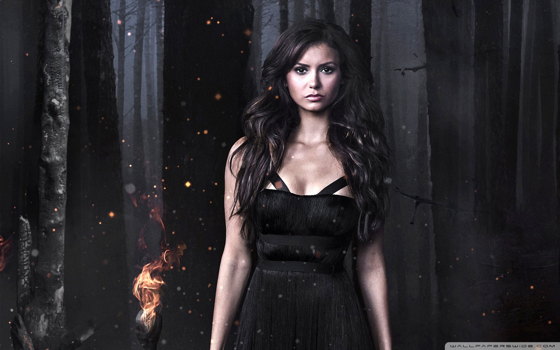 Nina Dobrev Wallpapers