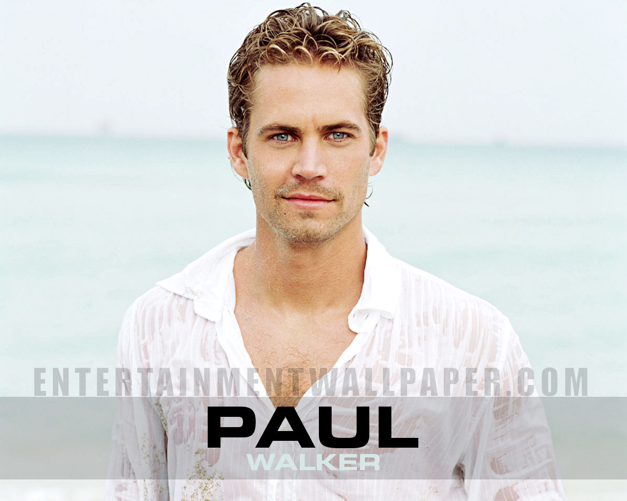 Paul Walker Wallpapers