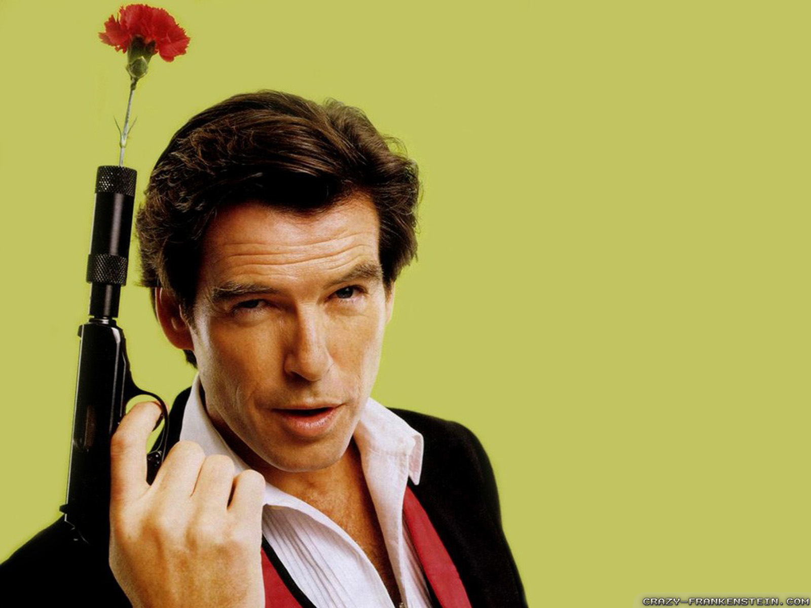 Pierce Brosnan Wallpapers