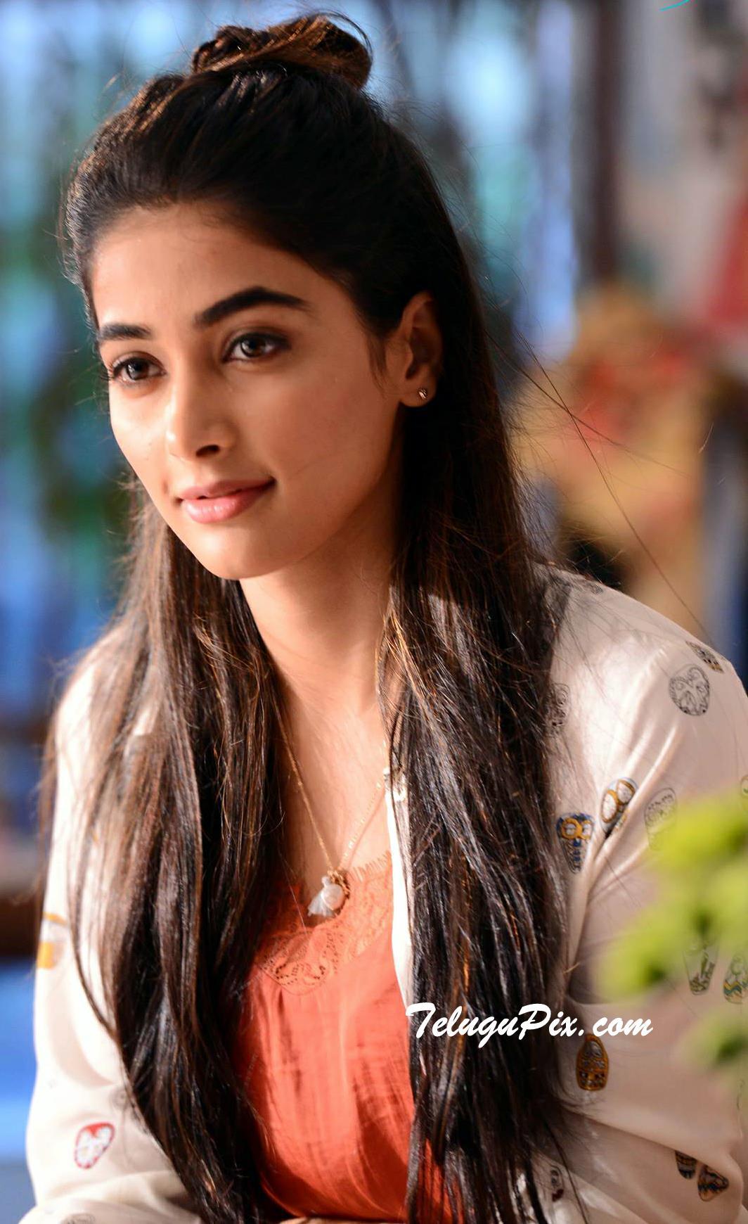 Pooja Hegde Wallpapers