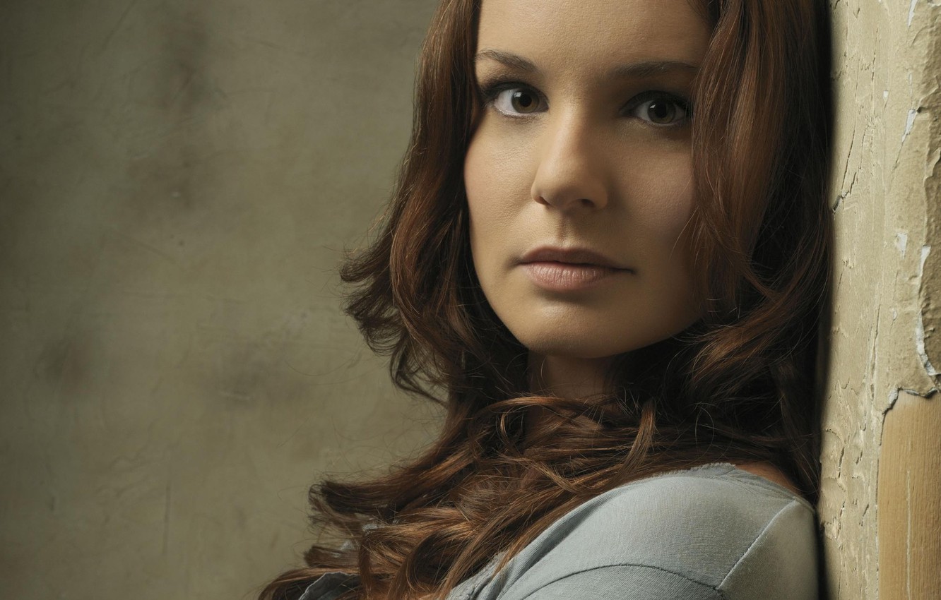 Sarah Wayne Callies Wallpapers