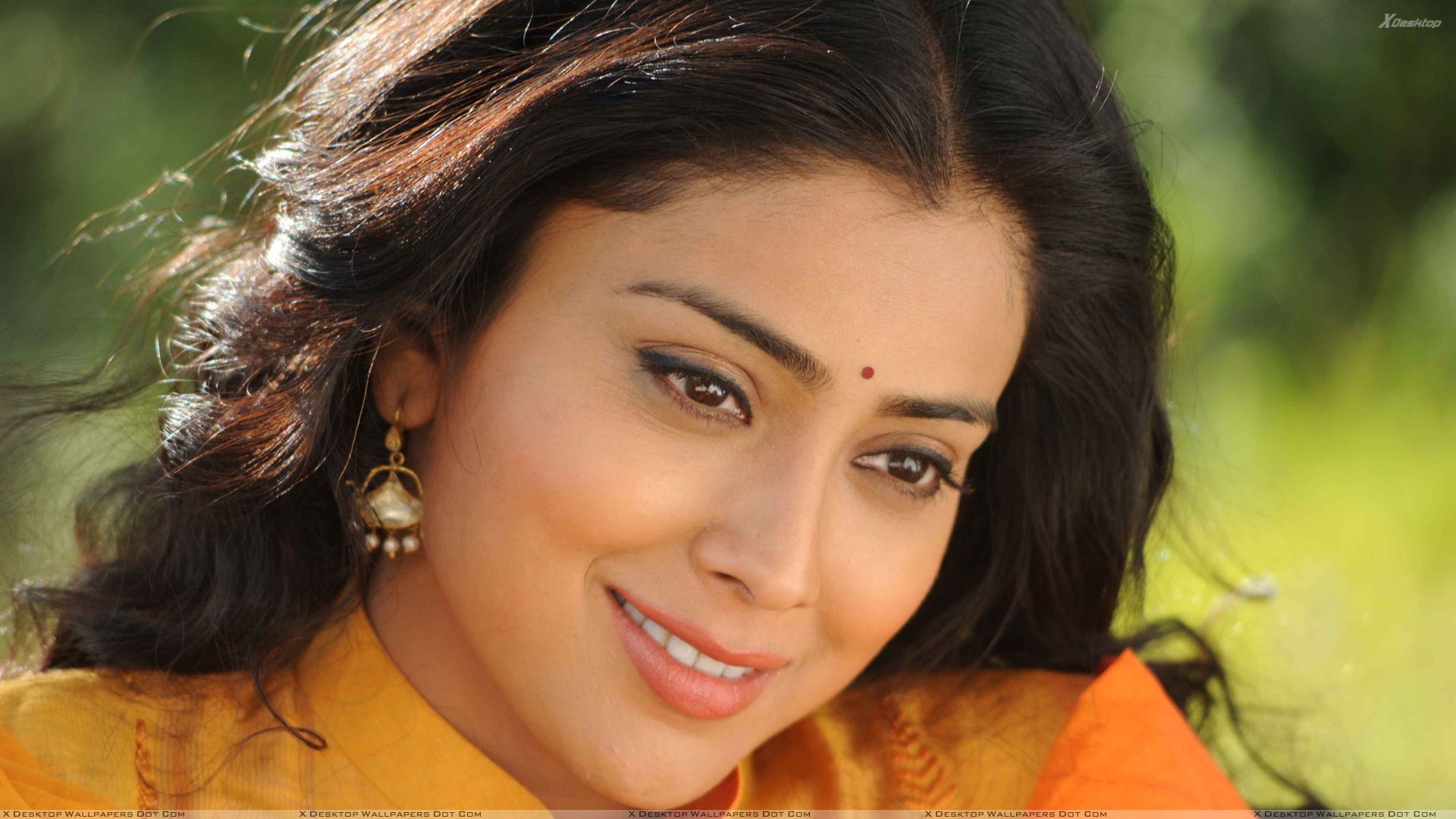 Shriya Saran Wallpapers