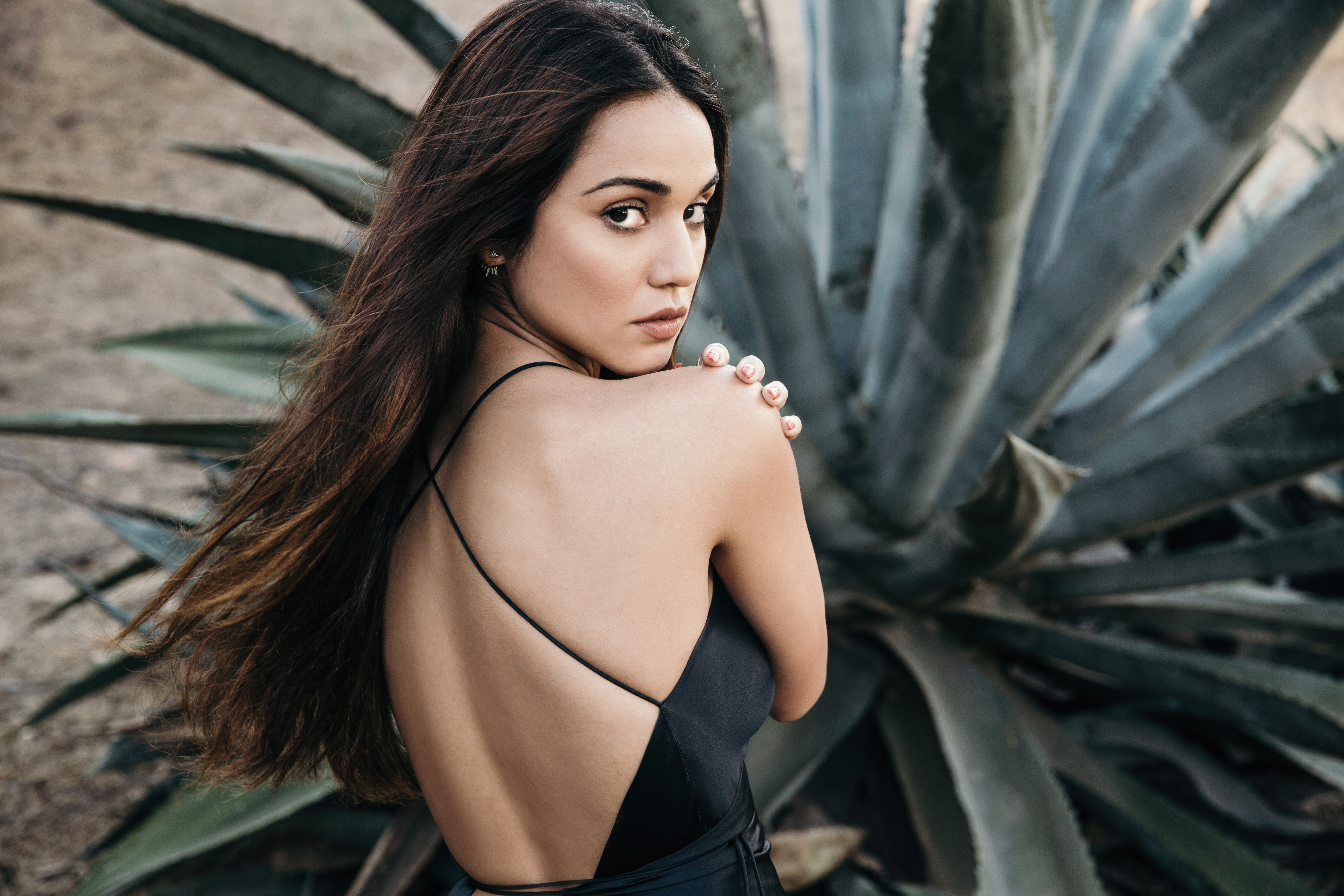 Summer Bishil Wallpapers