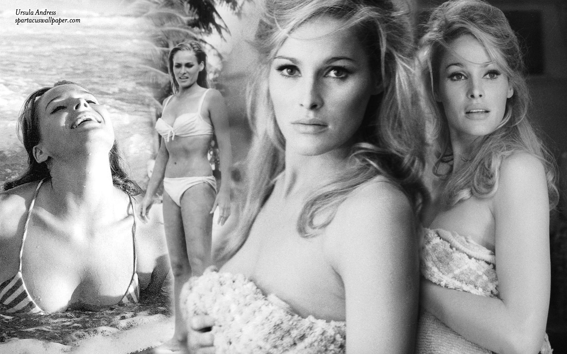 Ursula Andress Wallpapers