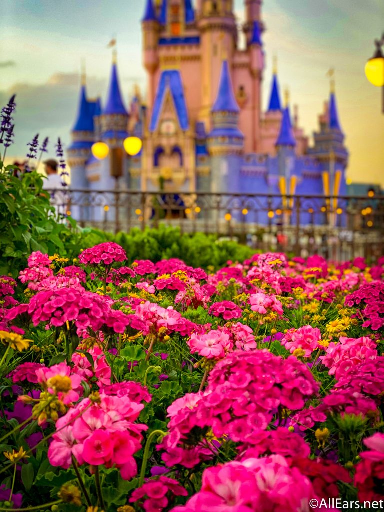 Walt Disney Wallpapers