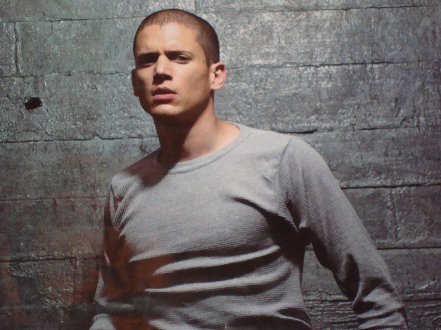 Wentworth Miller Wallpapers