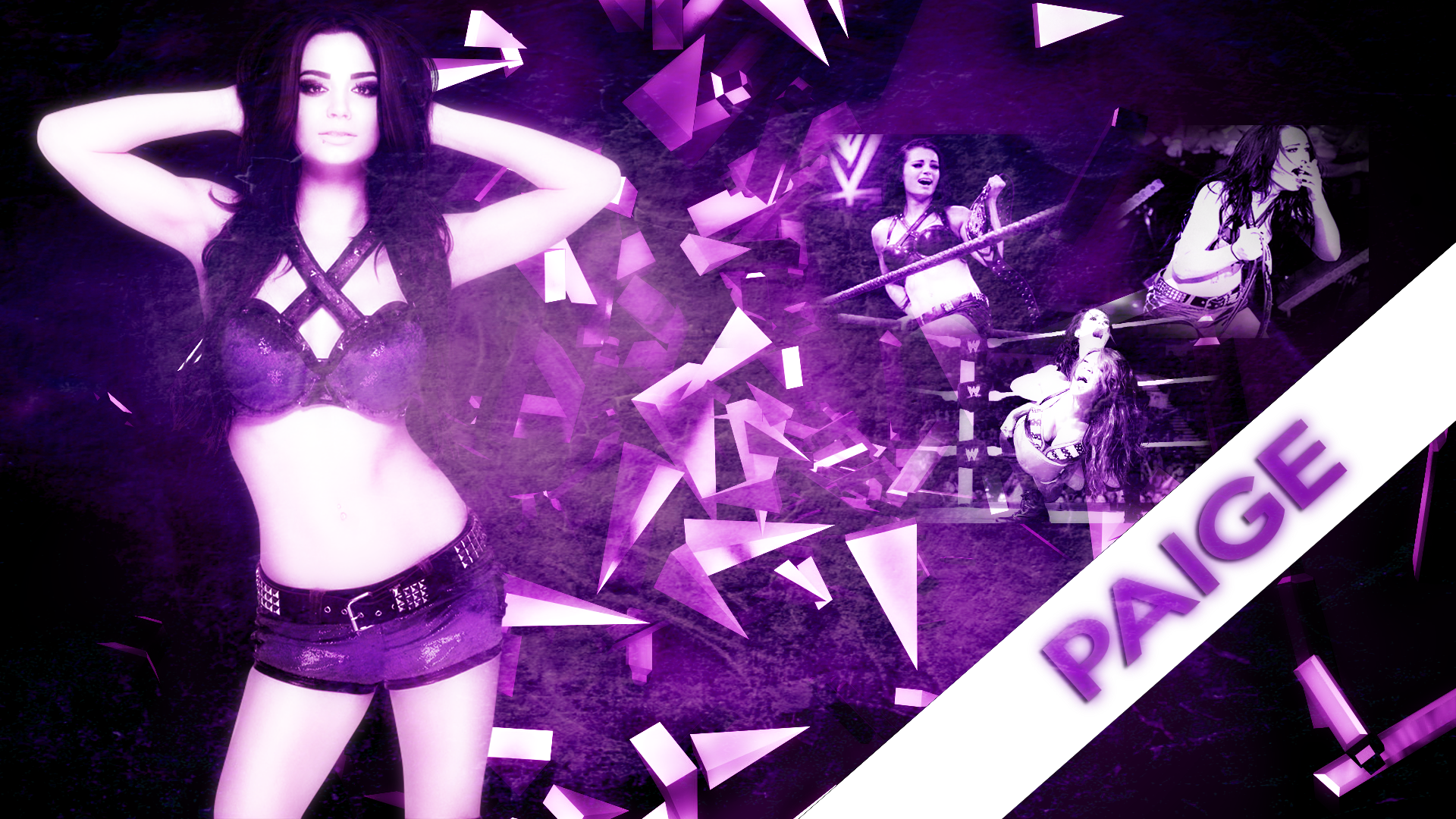 WWE Diva Paige Retro Colors Wallpapers