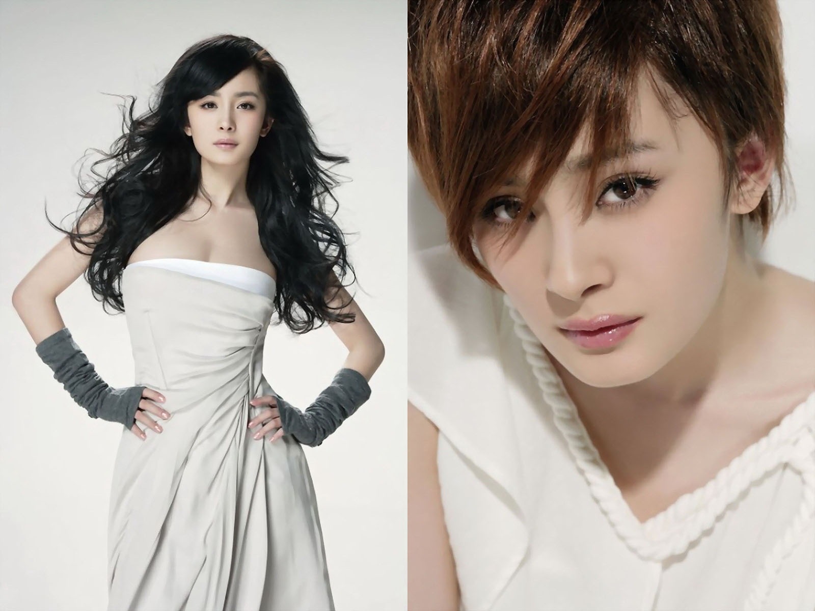 Yang Mi Wallpapers