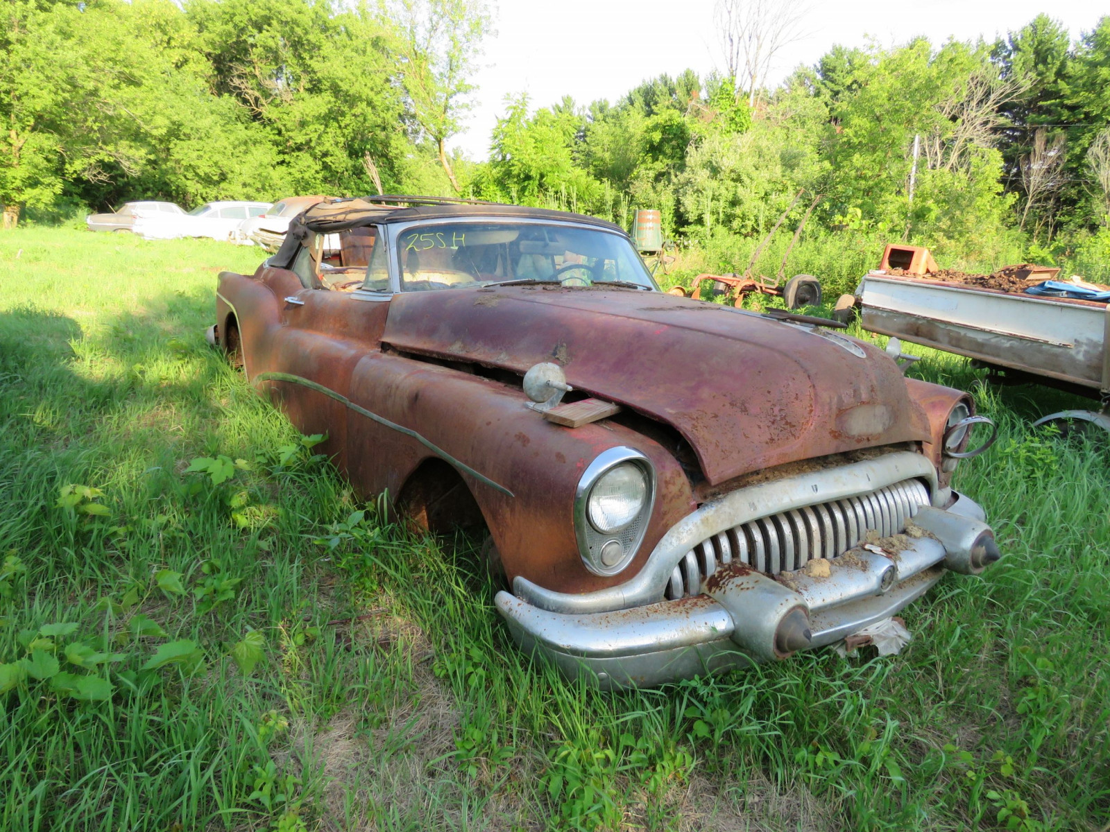 1953 Buick Skylark Convertible Coupe Wallpapers