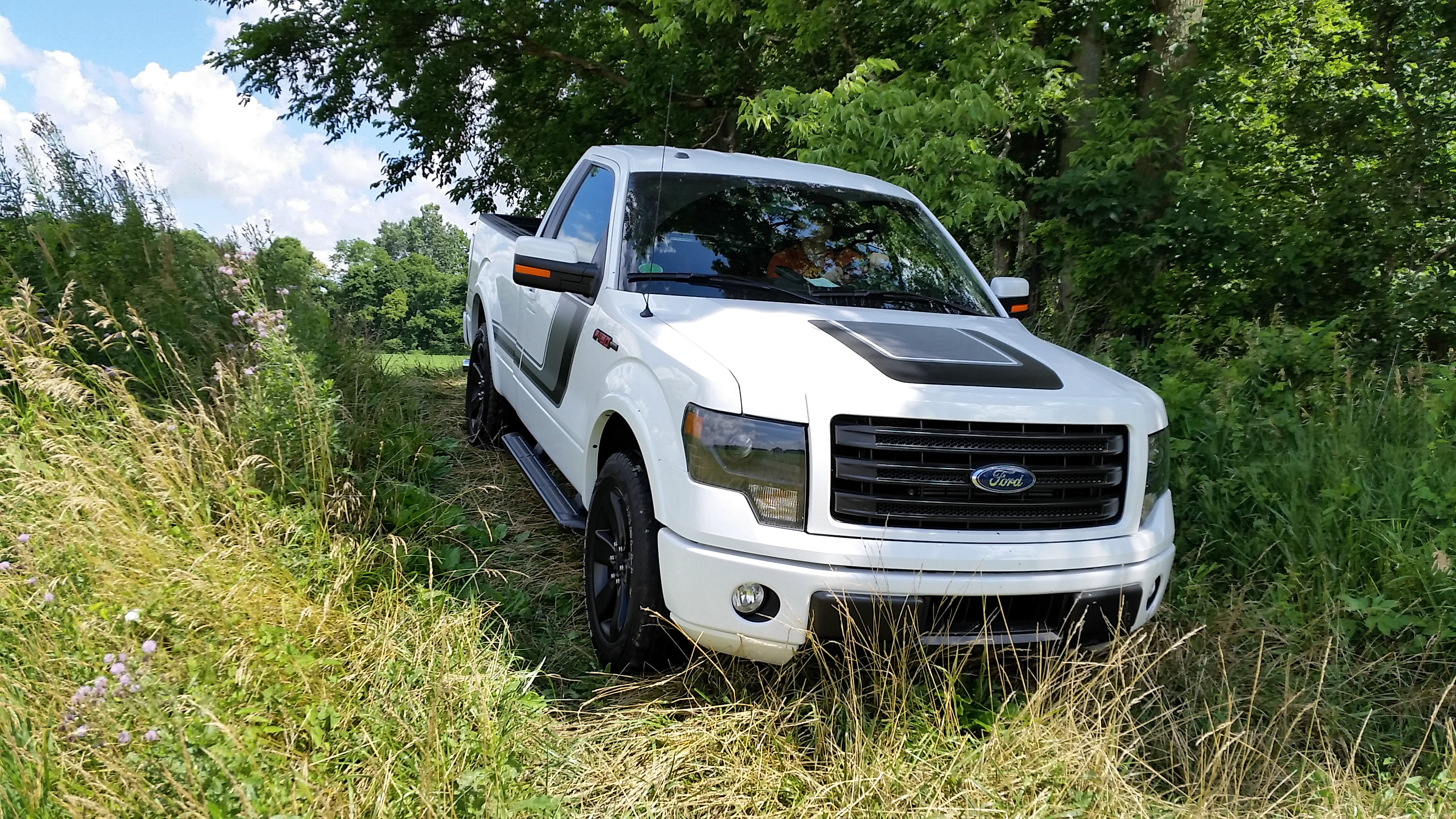 2014 Ford F-150 Tremor Wallpapers