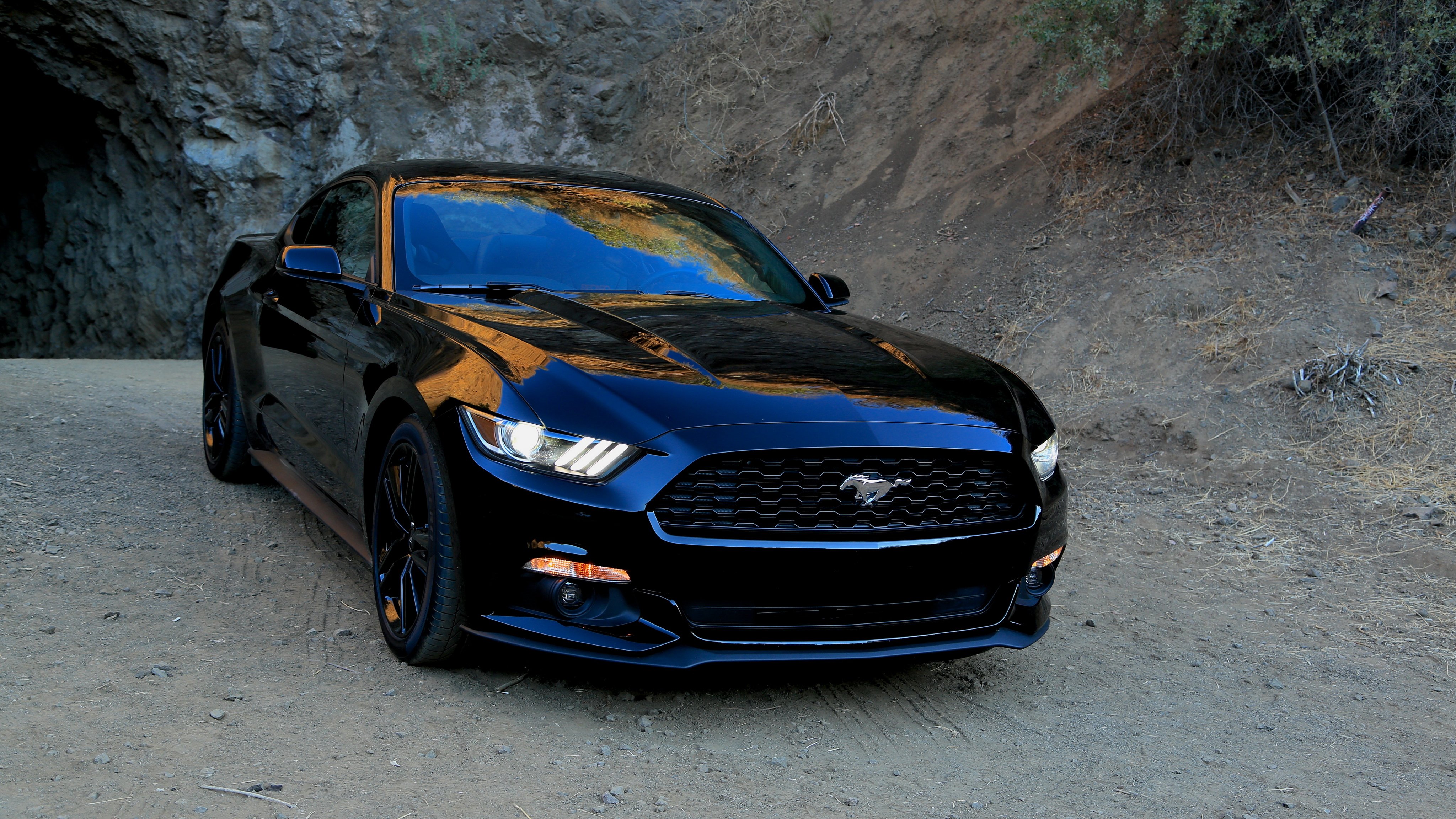 2015 Ford Mustang Wallpapers