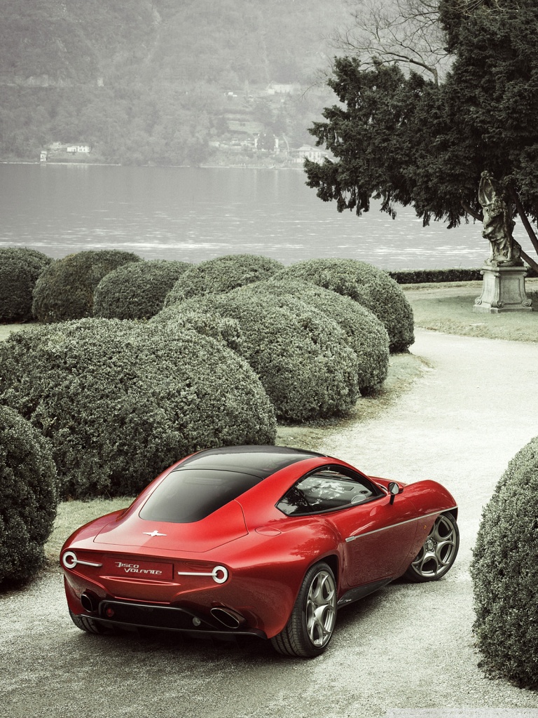 Alfa Romeo Disco Volante Wallpapers