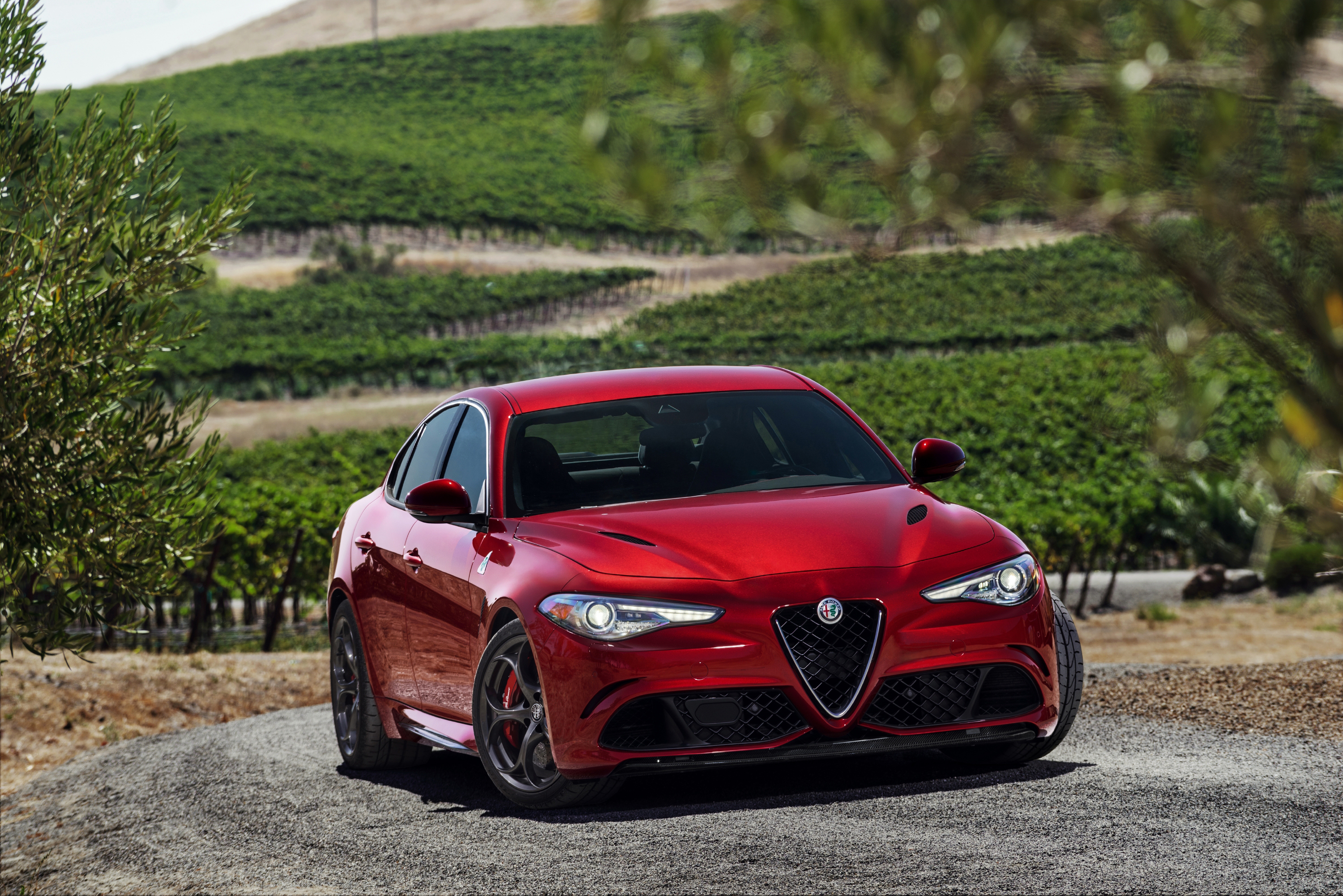 Alfa Romeo Giulia Sport Wallpapers