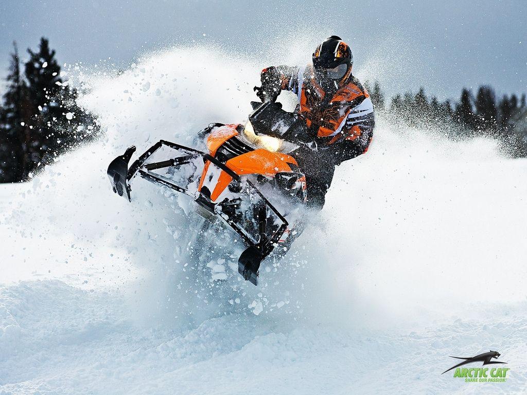 Arctic Cat Wallpapers