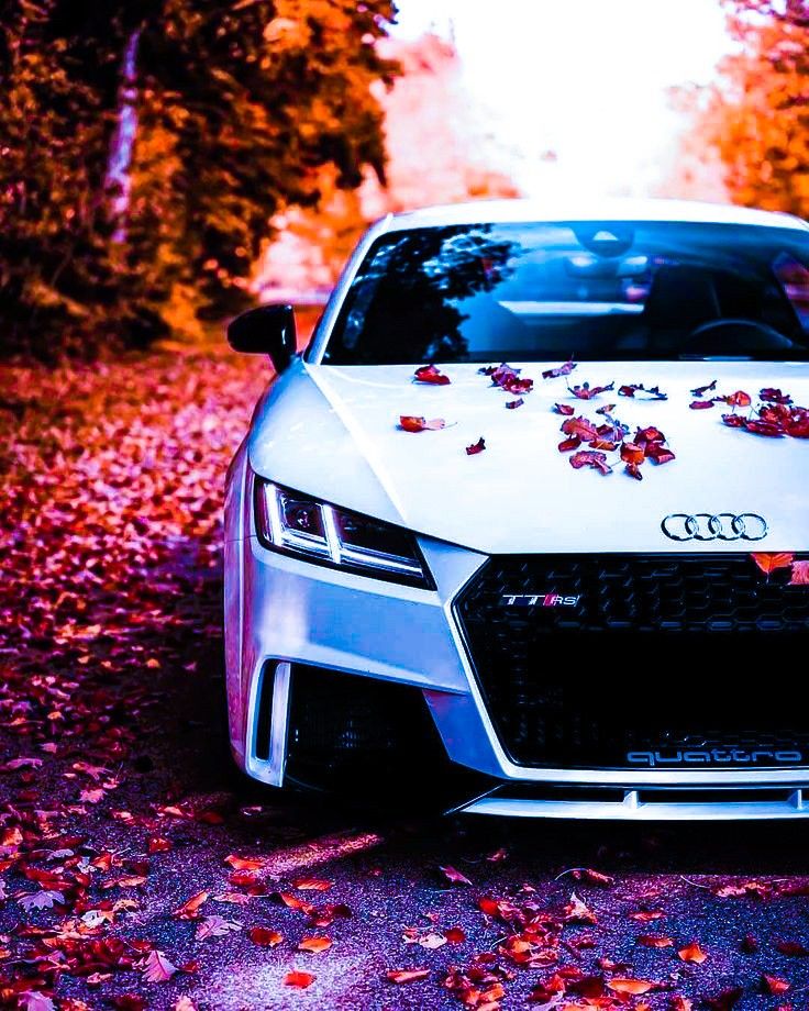 Audi Wallpapers