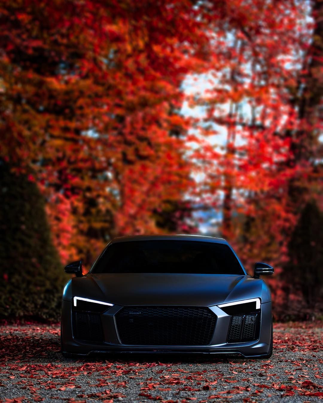 Audi Red Colour Wallpapers