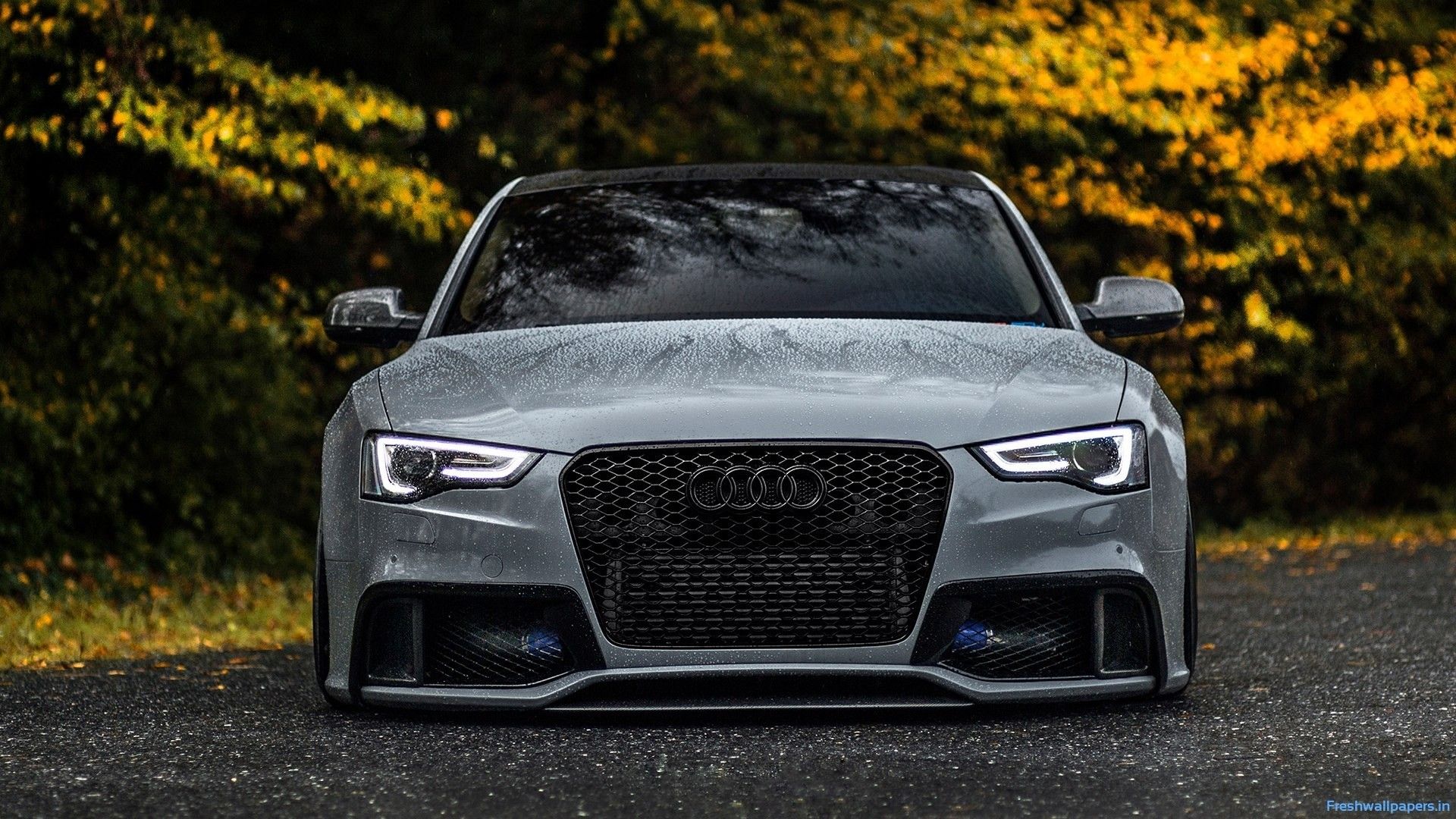 Audi S5 Wallpapers