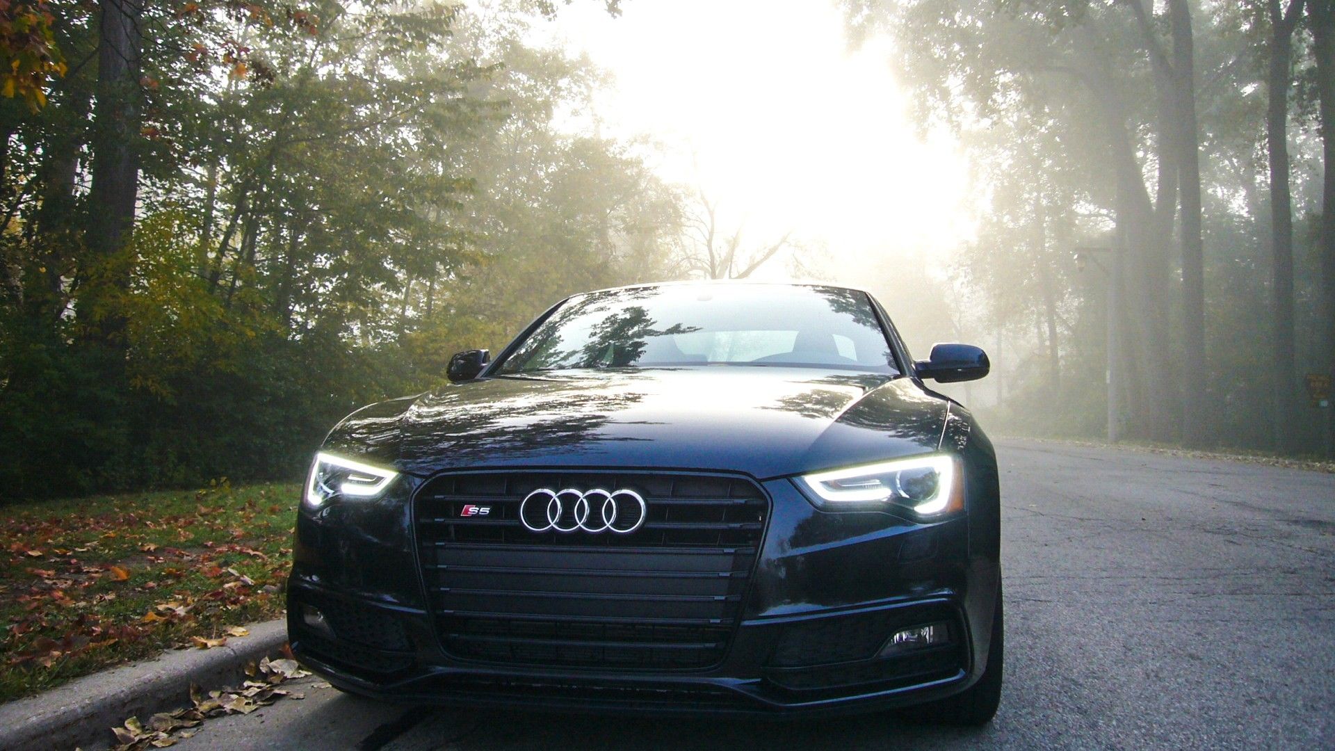 Audi S5 Wallpapers