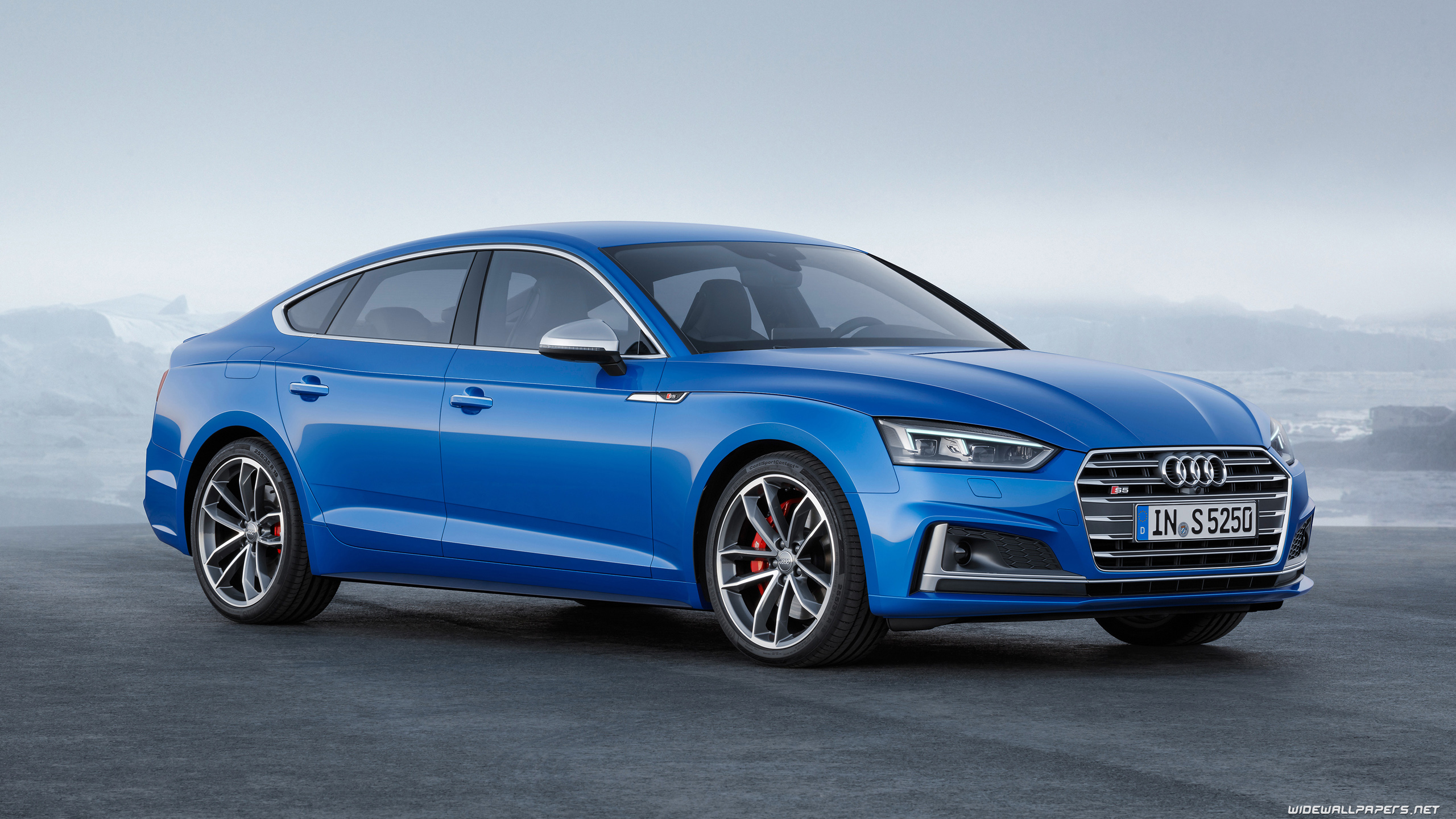 Audi S5 Sportback Wallpapers