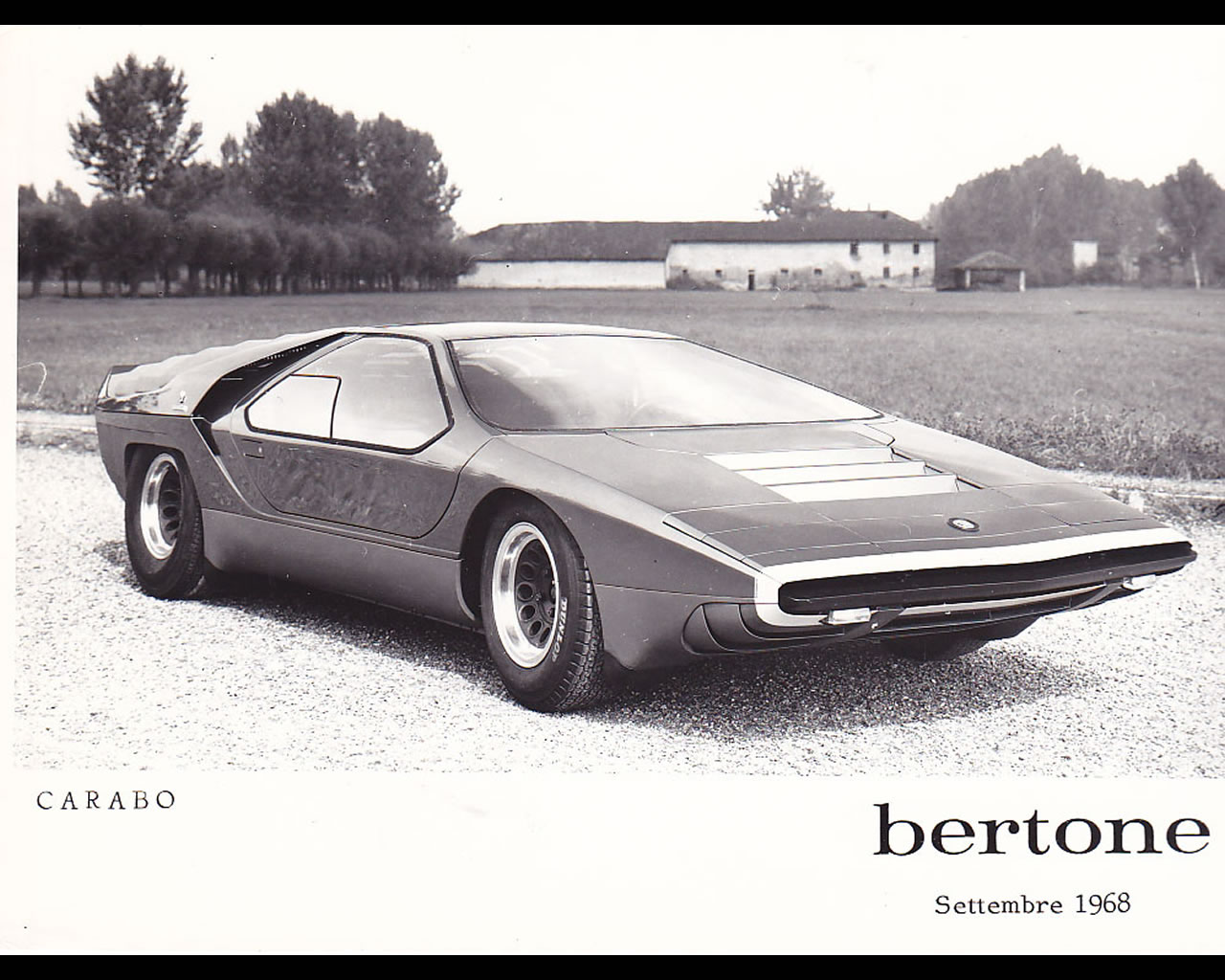 Bertone Nuccio Wallpapers