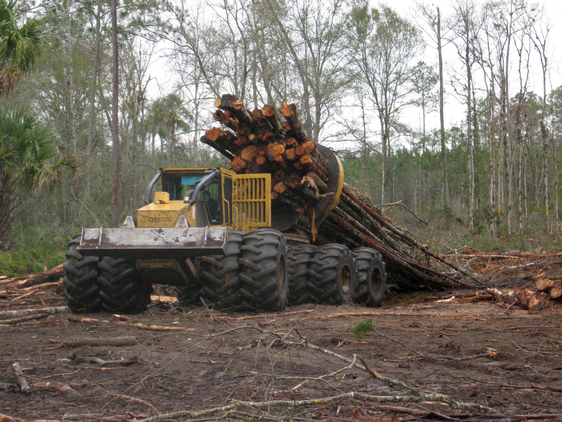 Clambunk Skidder Wallpapers