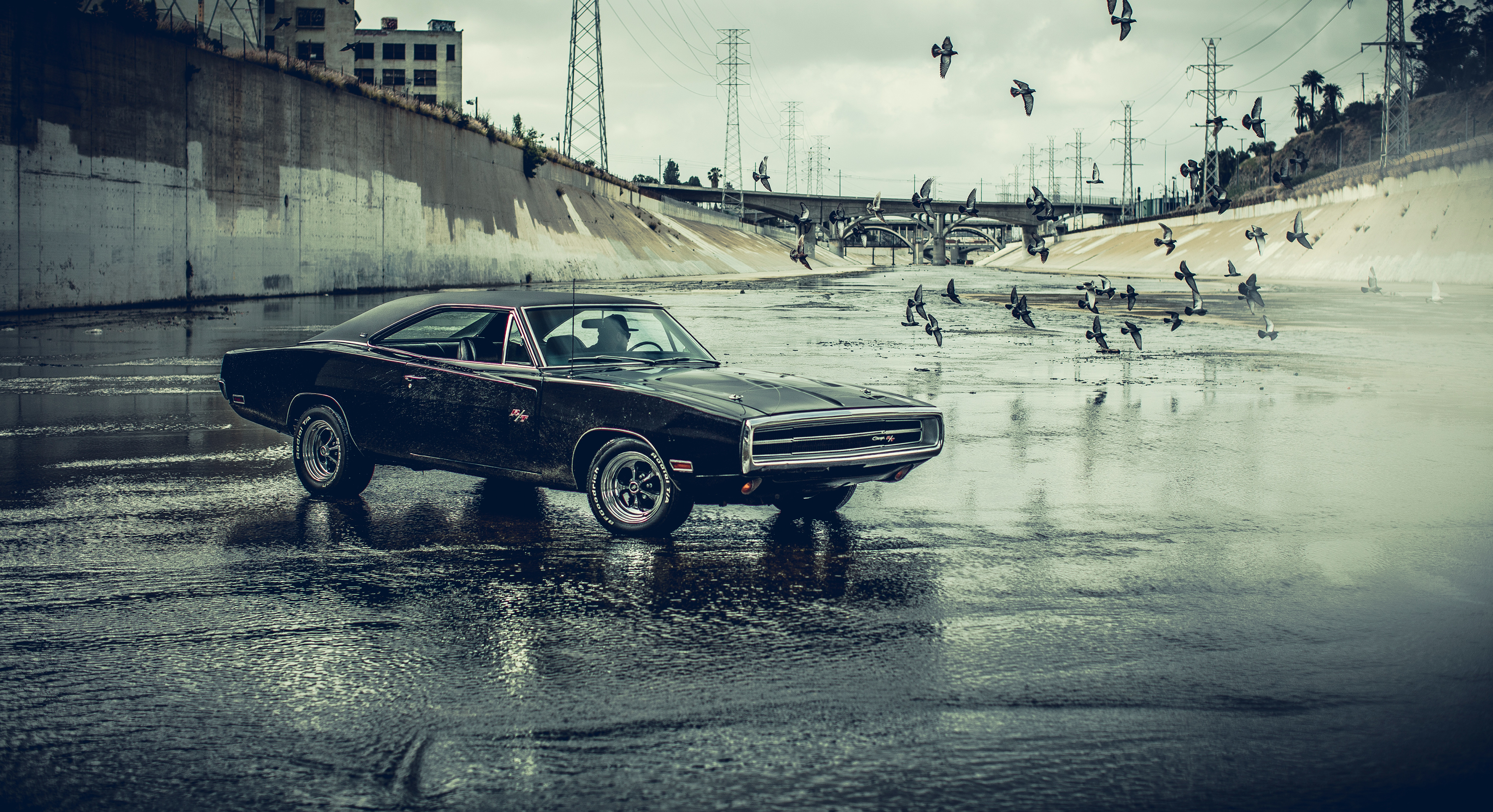 Dodge Charger 1970 Wallpapers