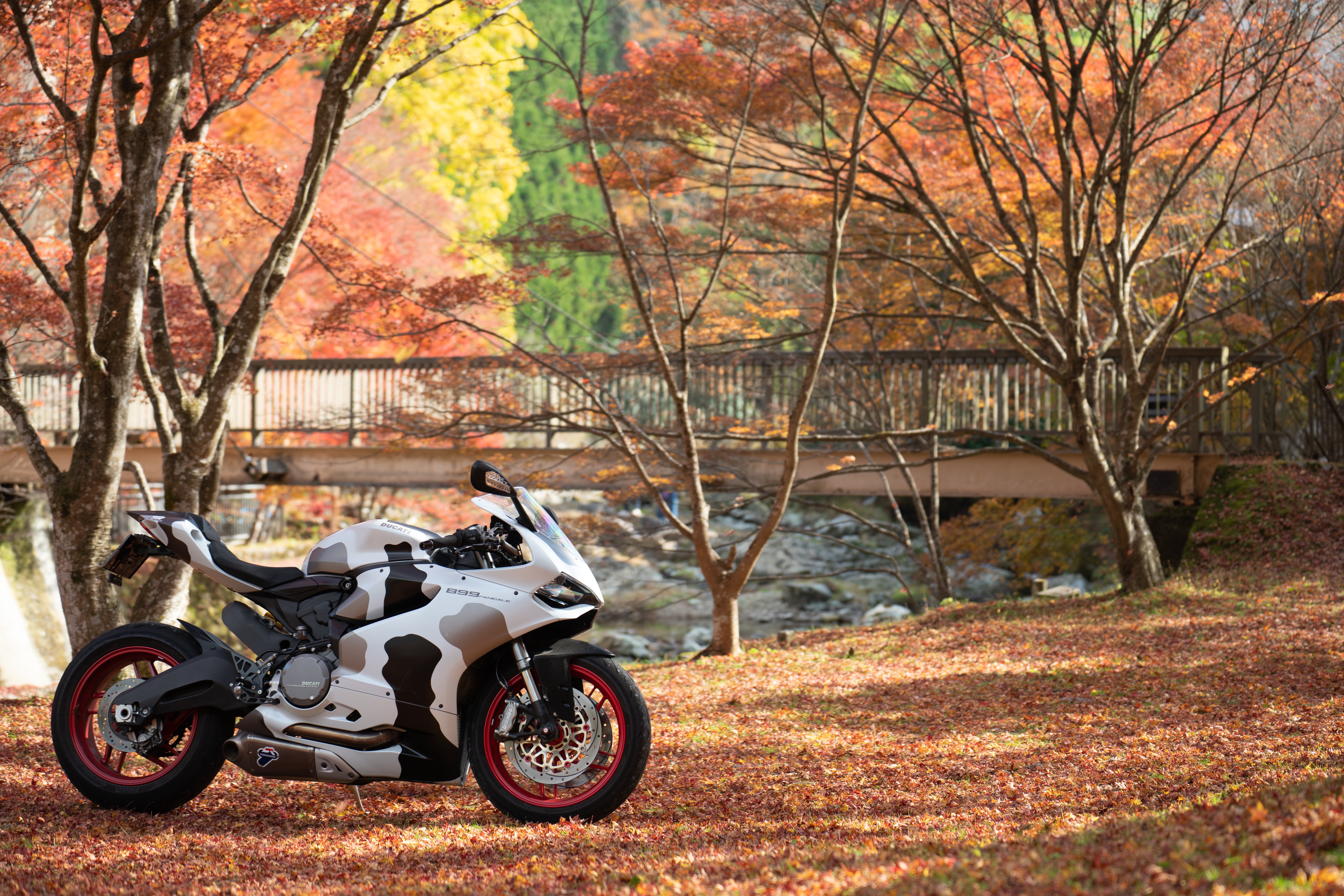 Ducati 899 Panigale Wallpapers