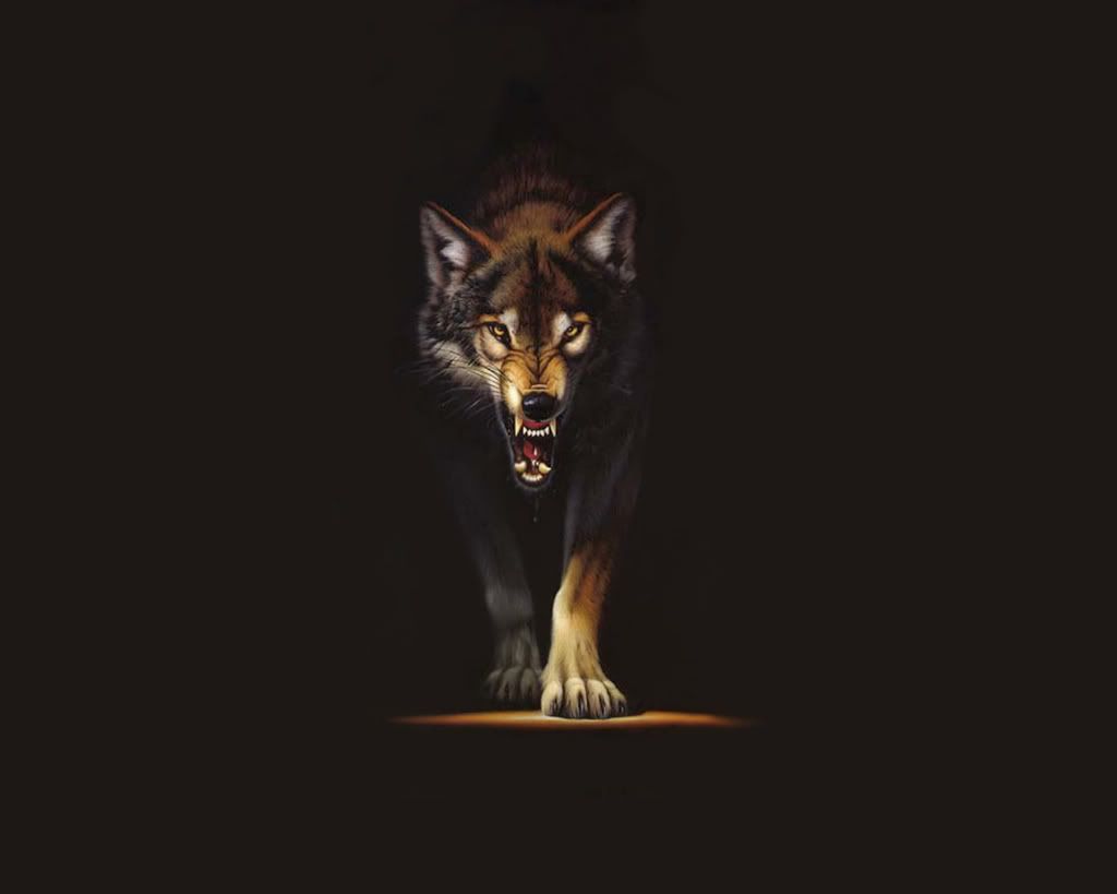 E-Wolf Wallpapers