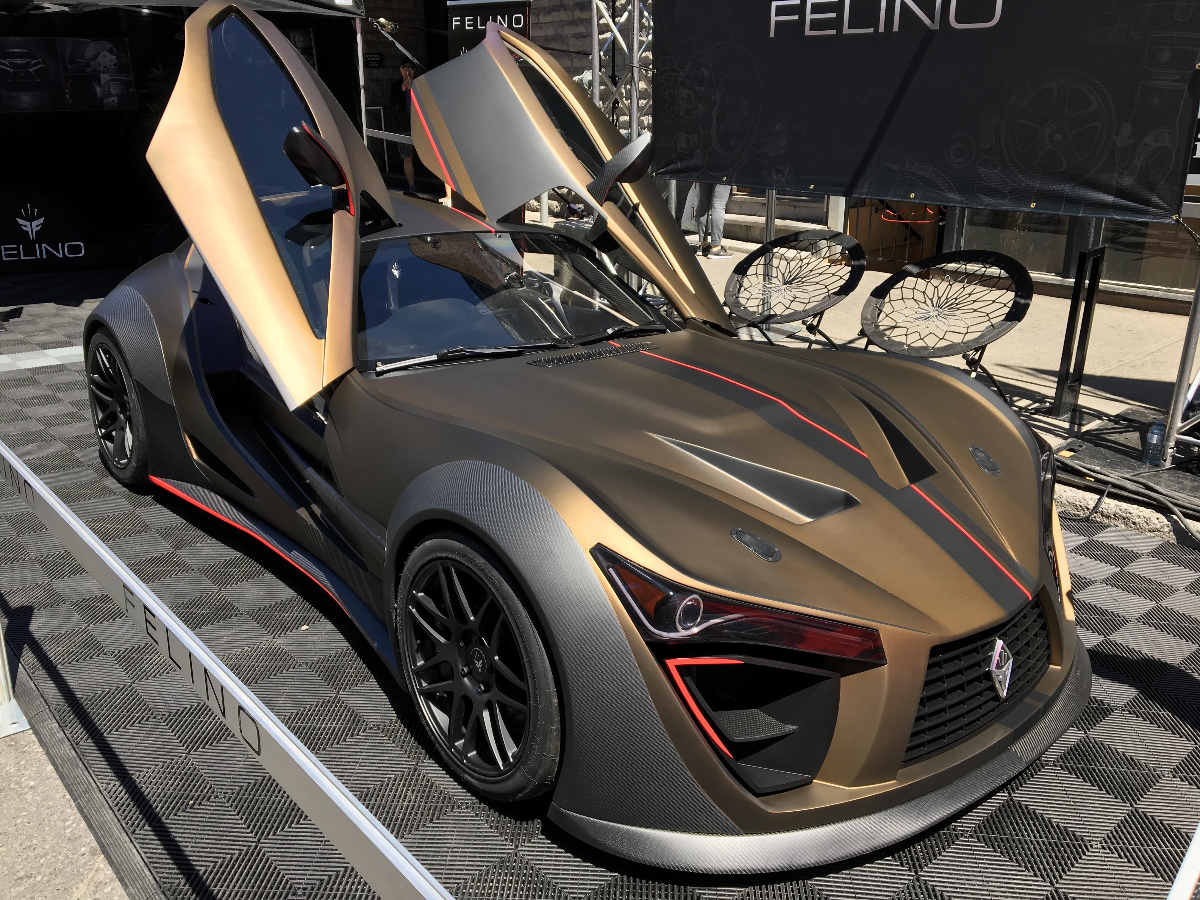 Felino Cb7R Wallpapers