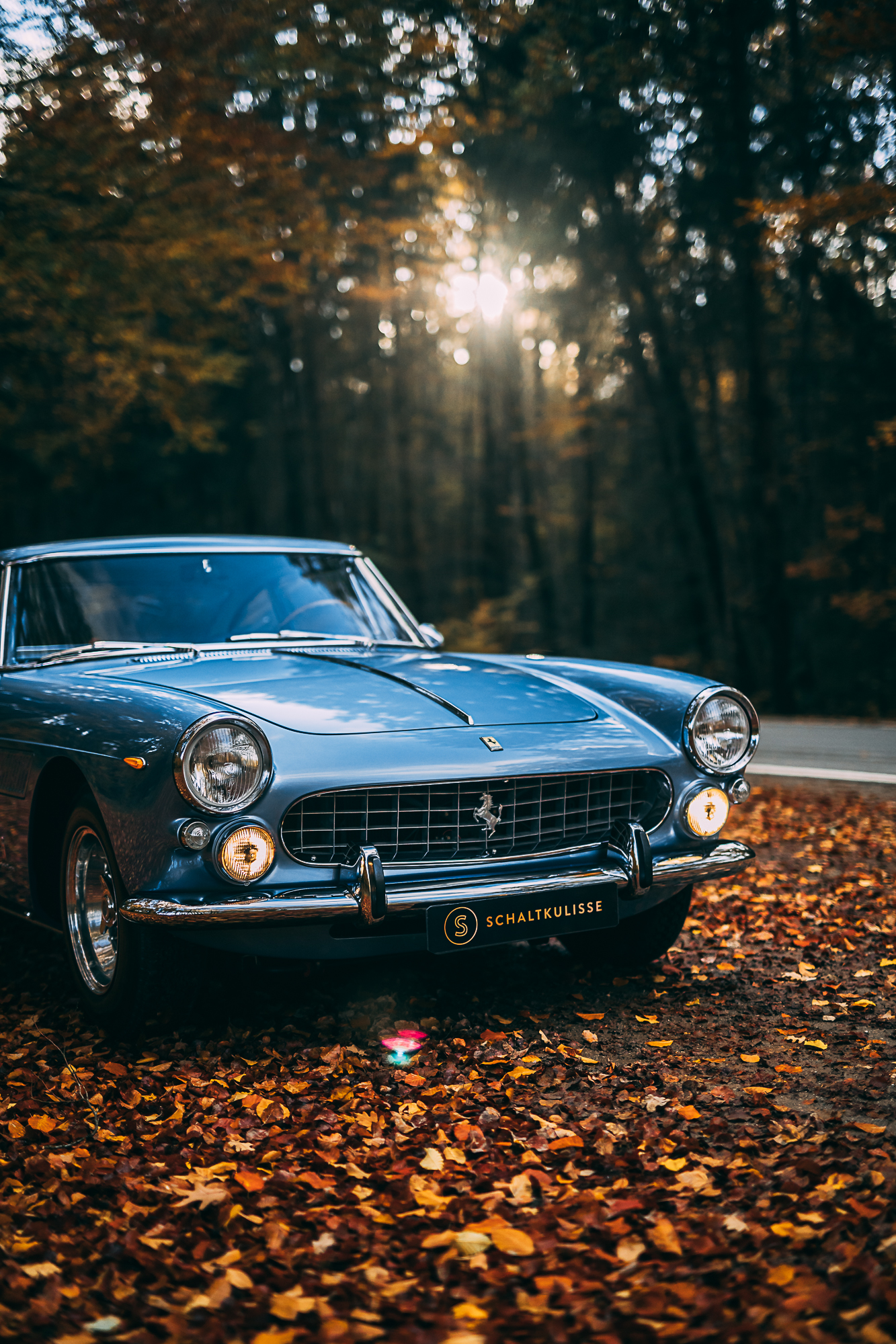 Ferrari 330 America Wallpapers