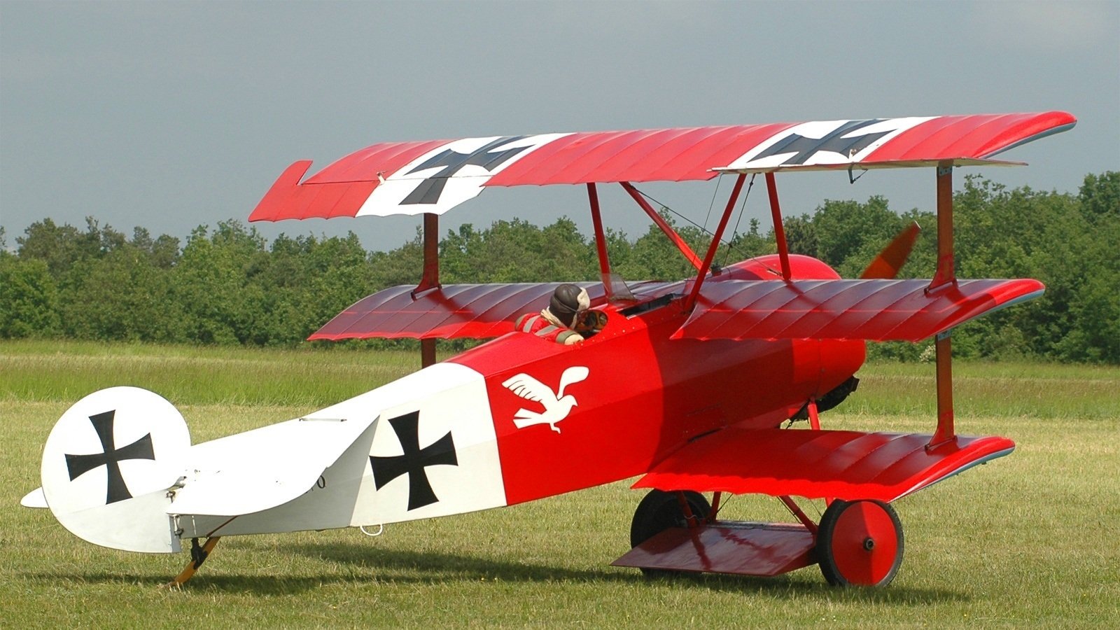 Fokker Triplane Wallpapers